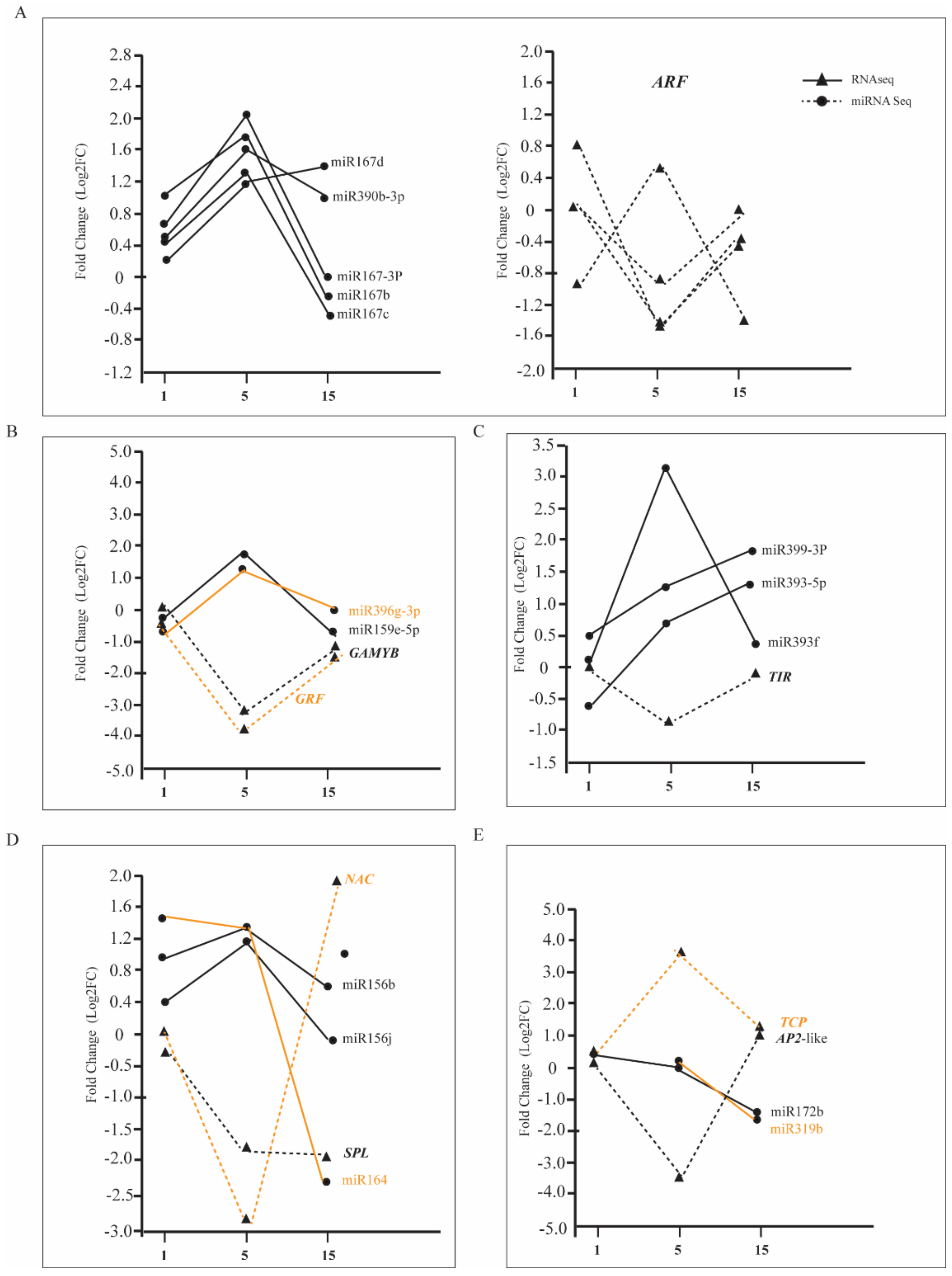 Genes 11 01417 g007 Genes 11 01417 g007