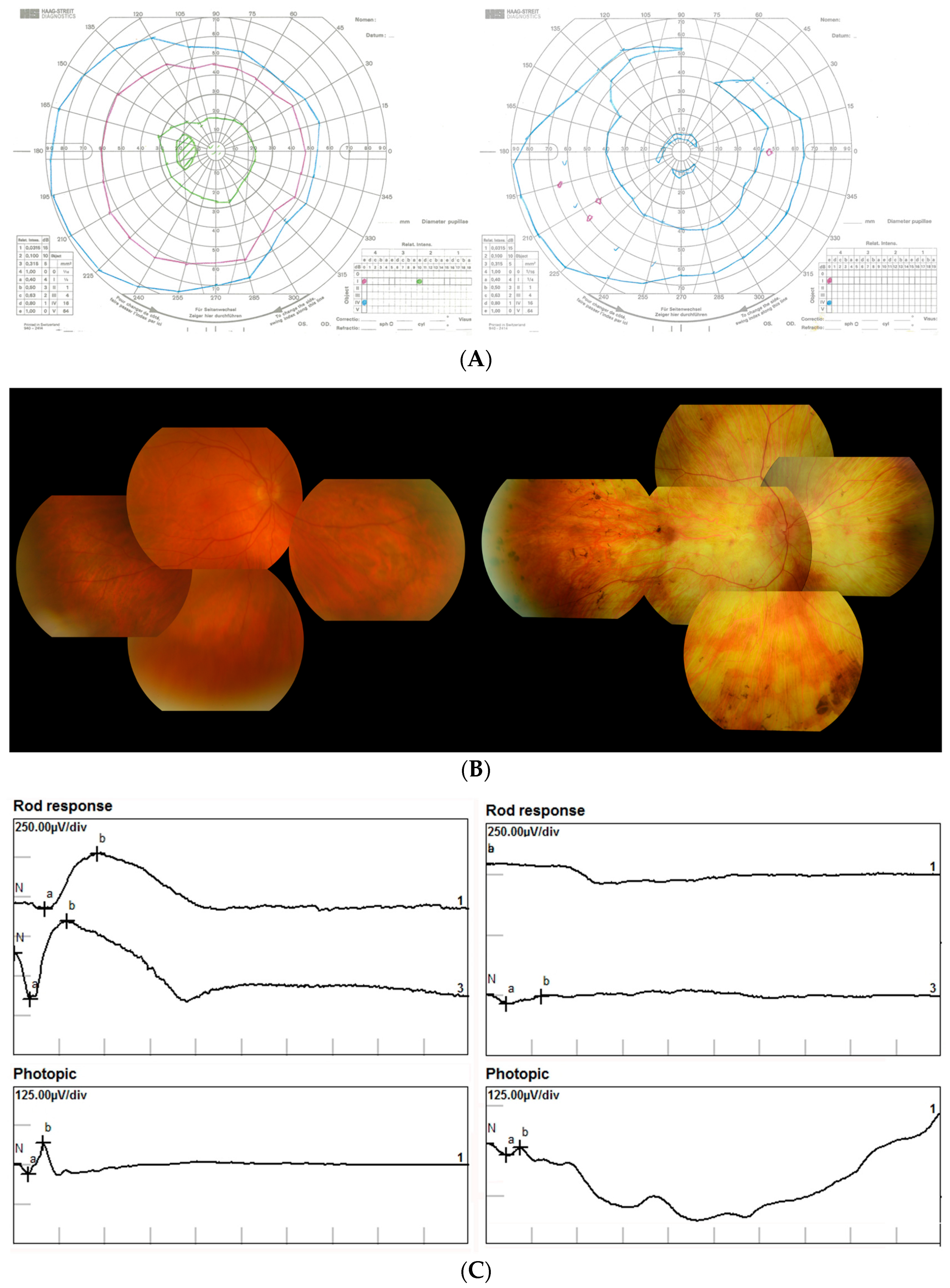 Genes 11 01420 g002a Genes 11 01420 g002a