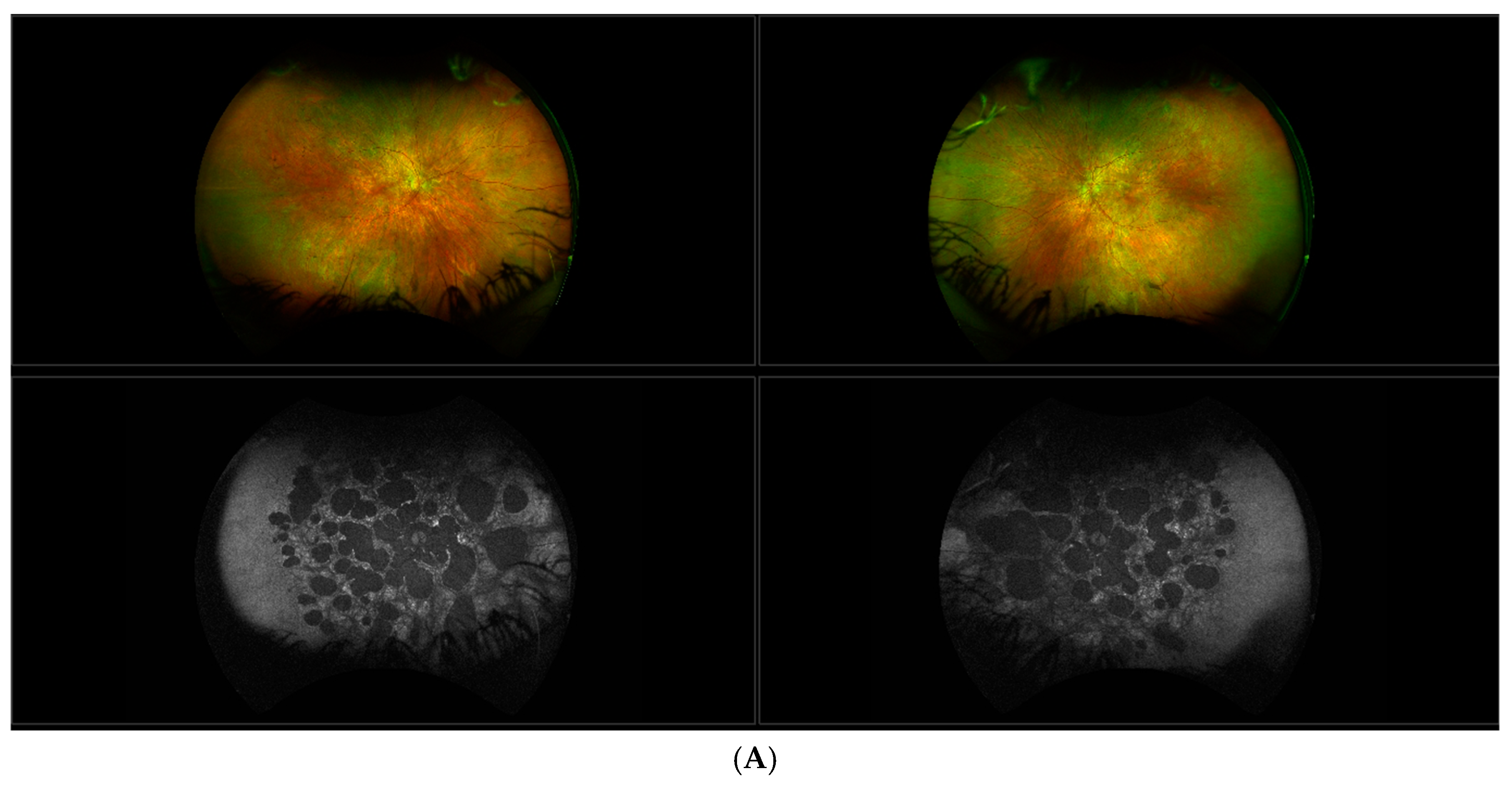 Genes 11 01420 g003a Genes 11 01420 g003a