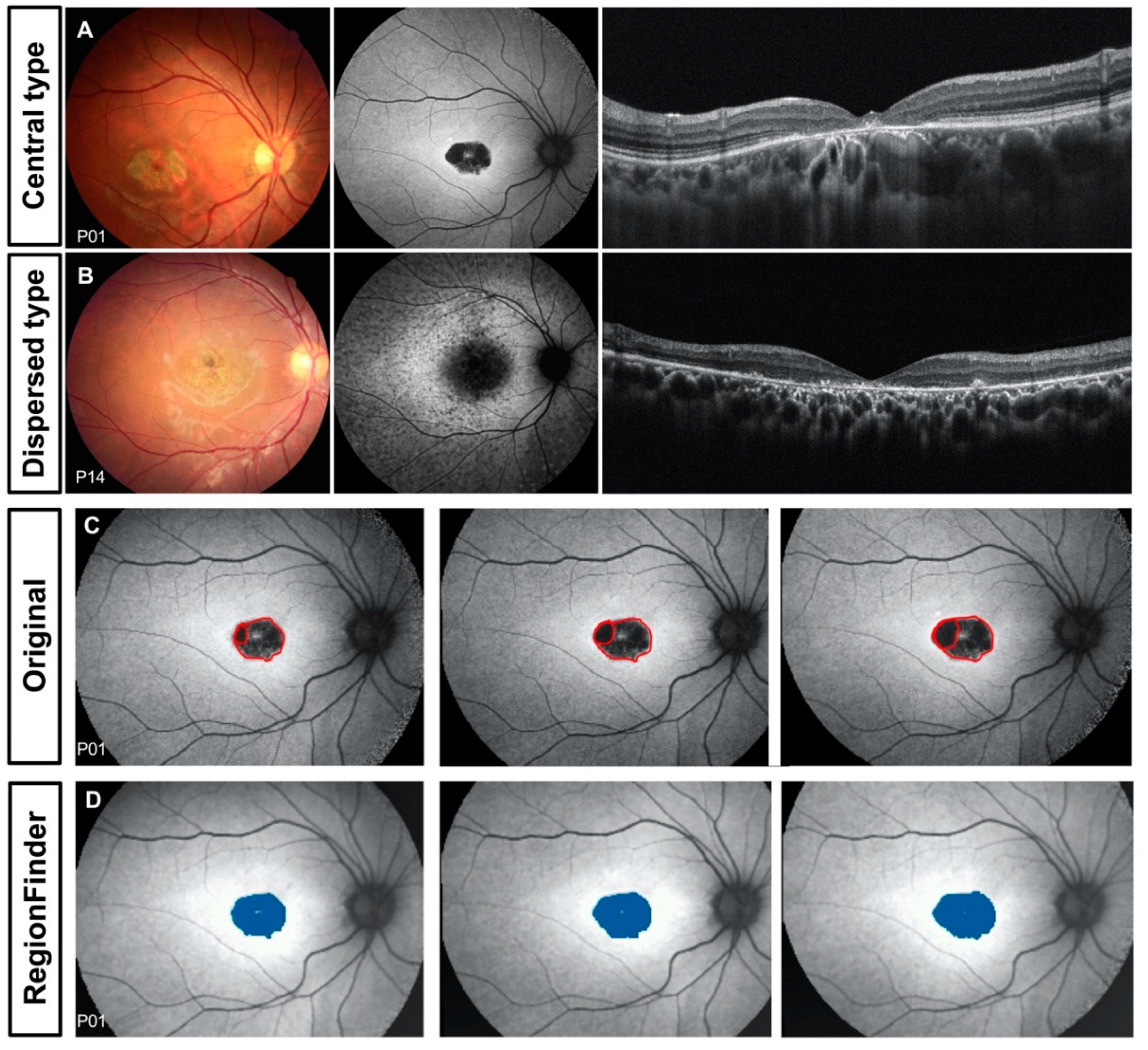 Genes 11 01421 g001 Genes 11 01421 g001