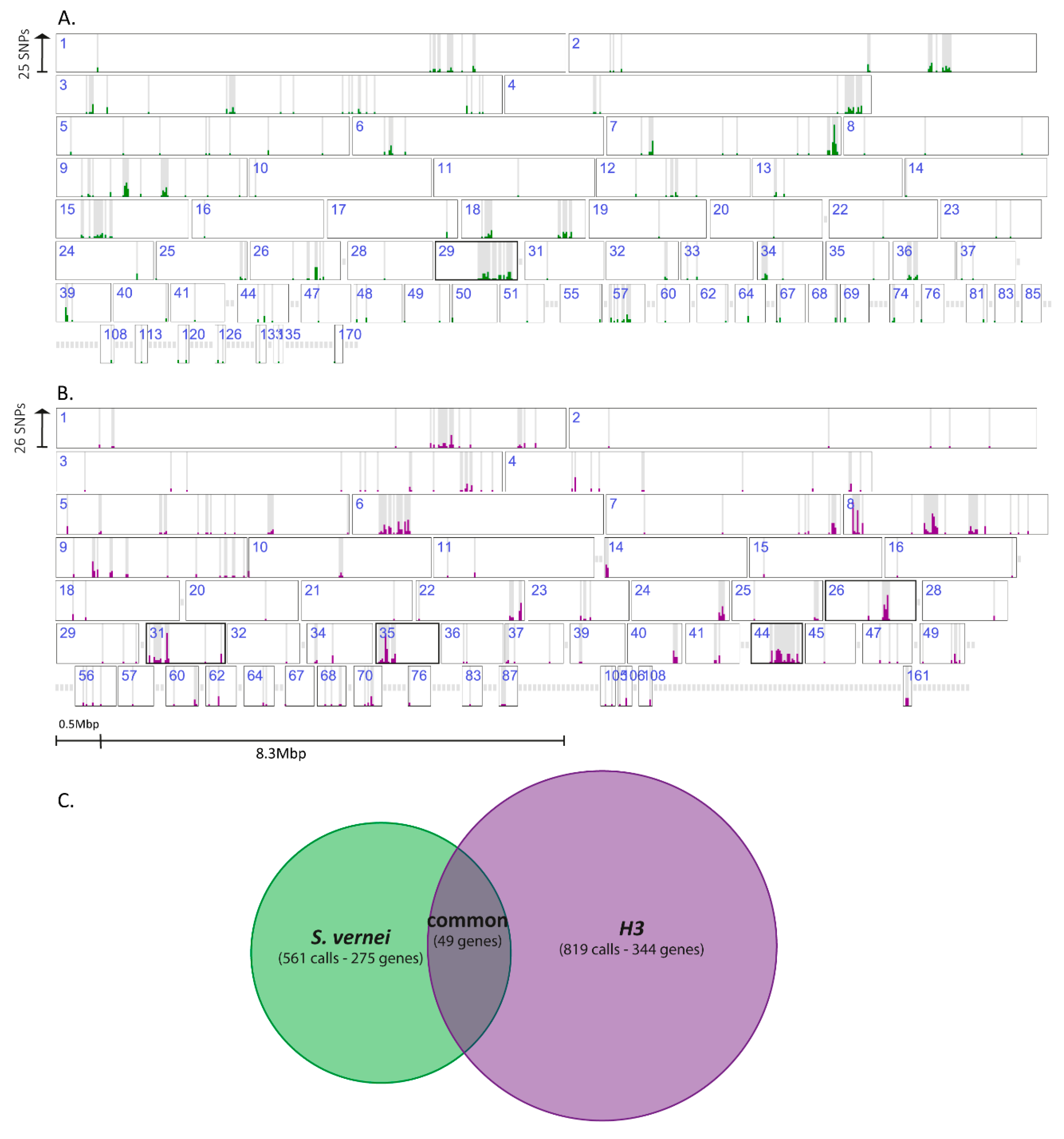 Genes 11 01429 g003 Genes 11 01429 g003