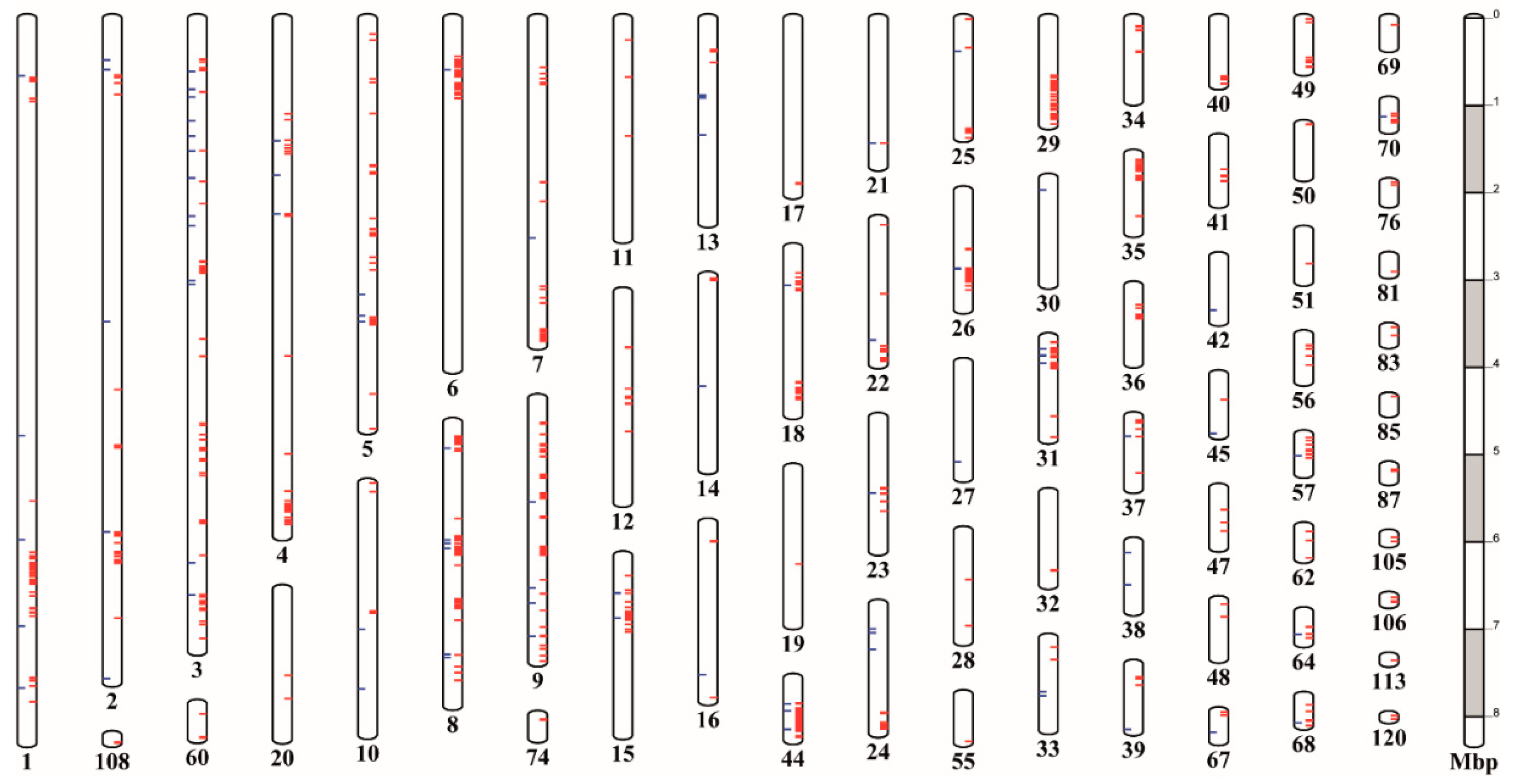 Genes 11 01429 g004 Genes 11 01429 g004