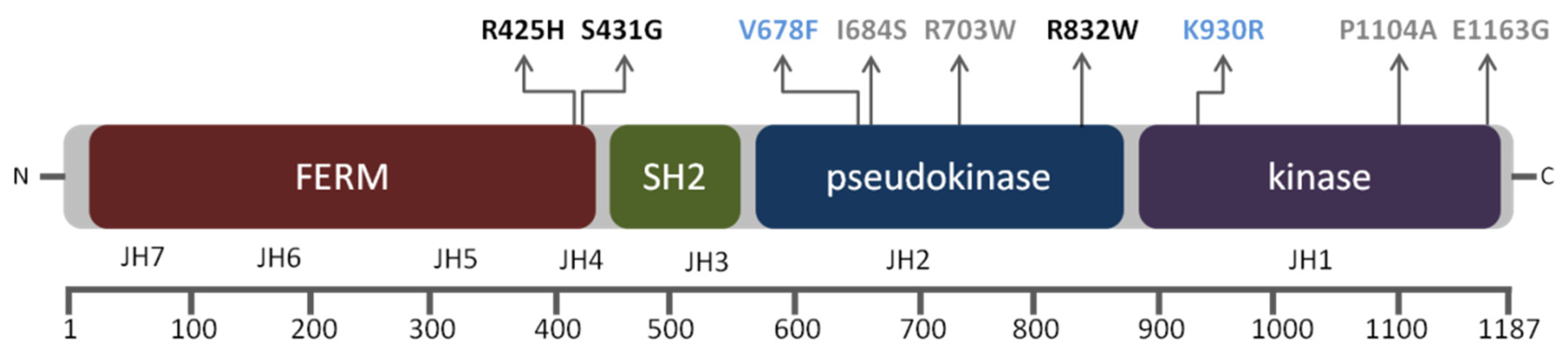Genes 11 01434 g001