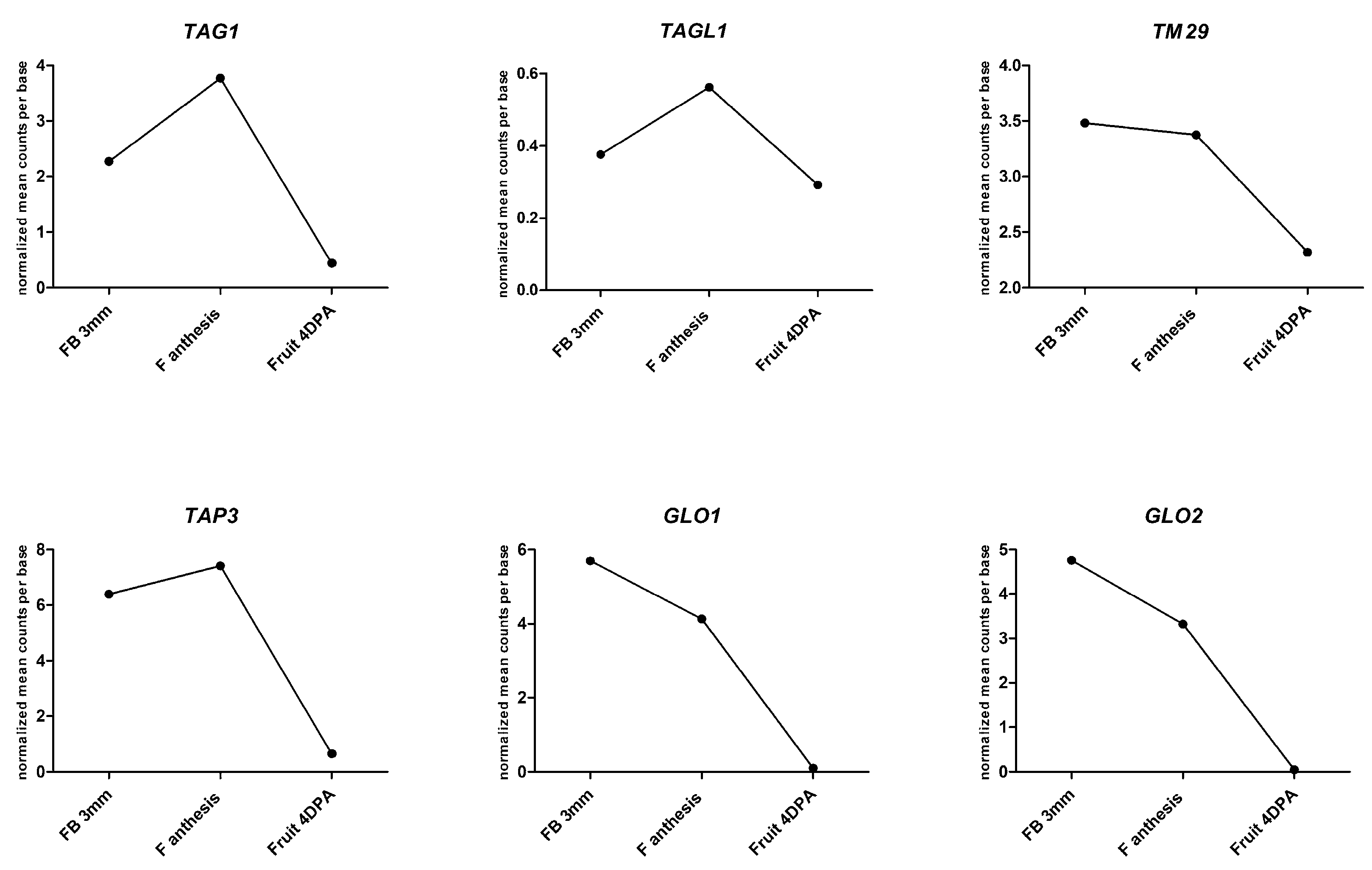 How Hormones and MADS-Box Transcription Factors Are Involved