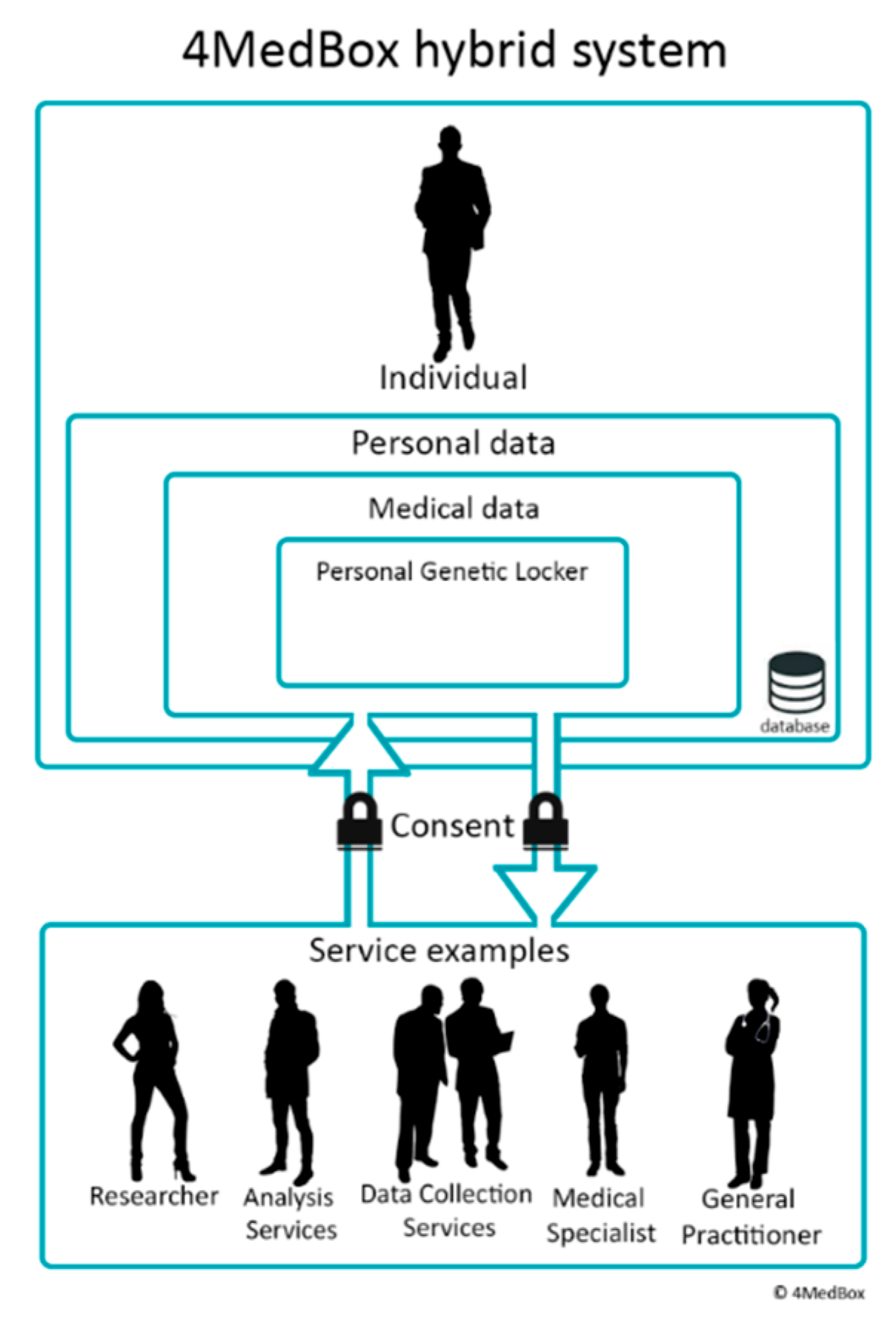 Genes 11 01443 g001
