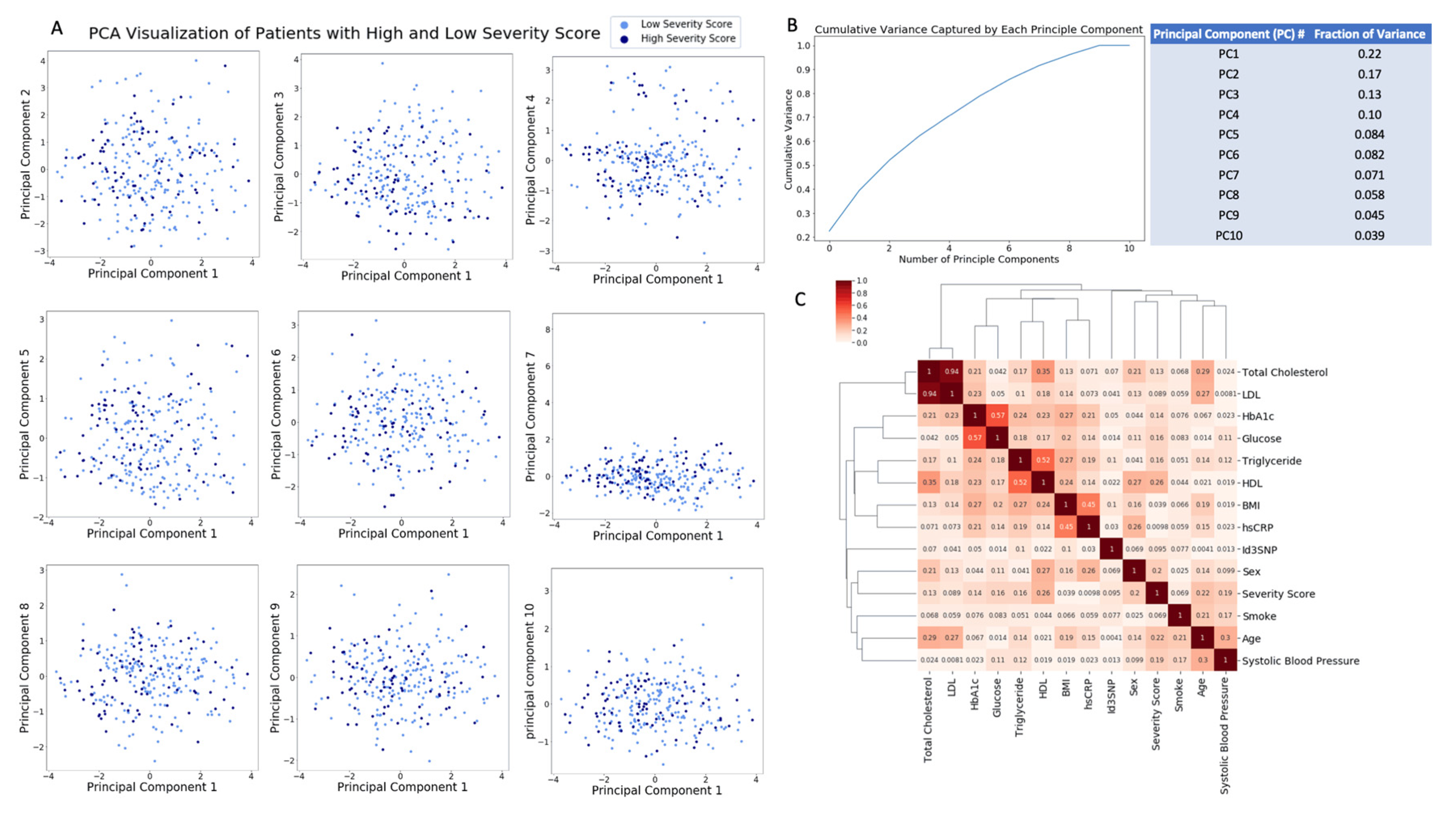 Genes 11 01446 g002