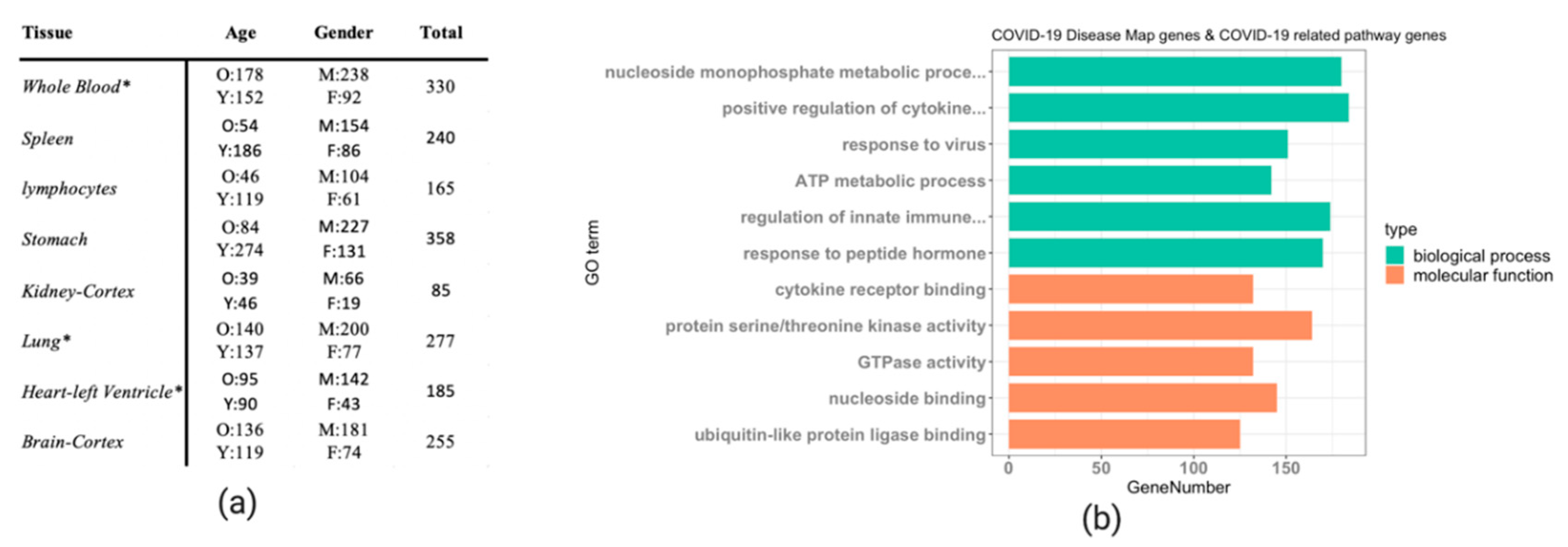Genes 11 01447 g001