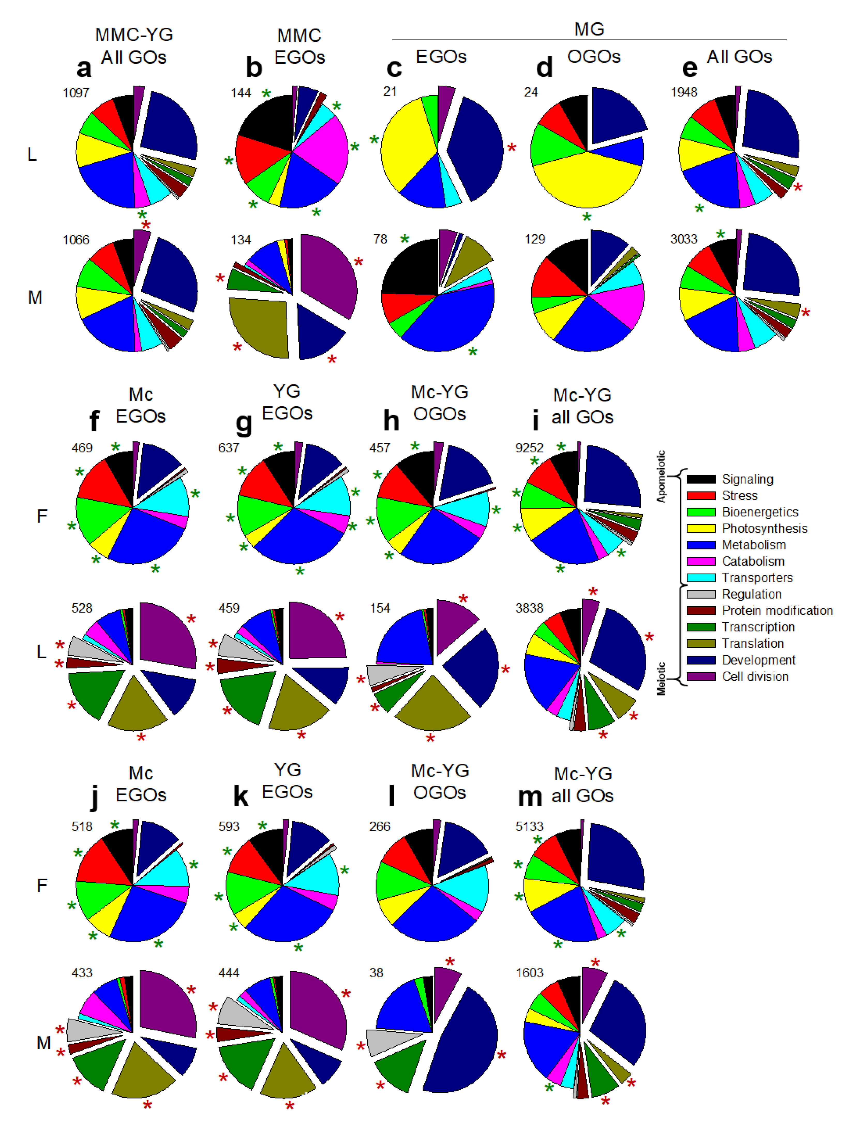 Genes 11 01449 g002