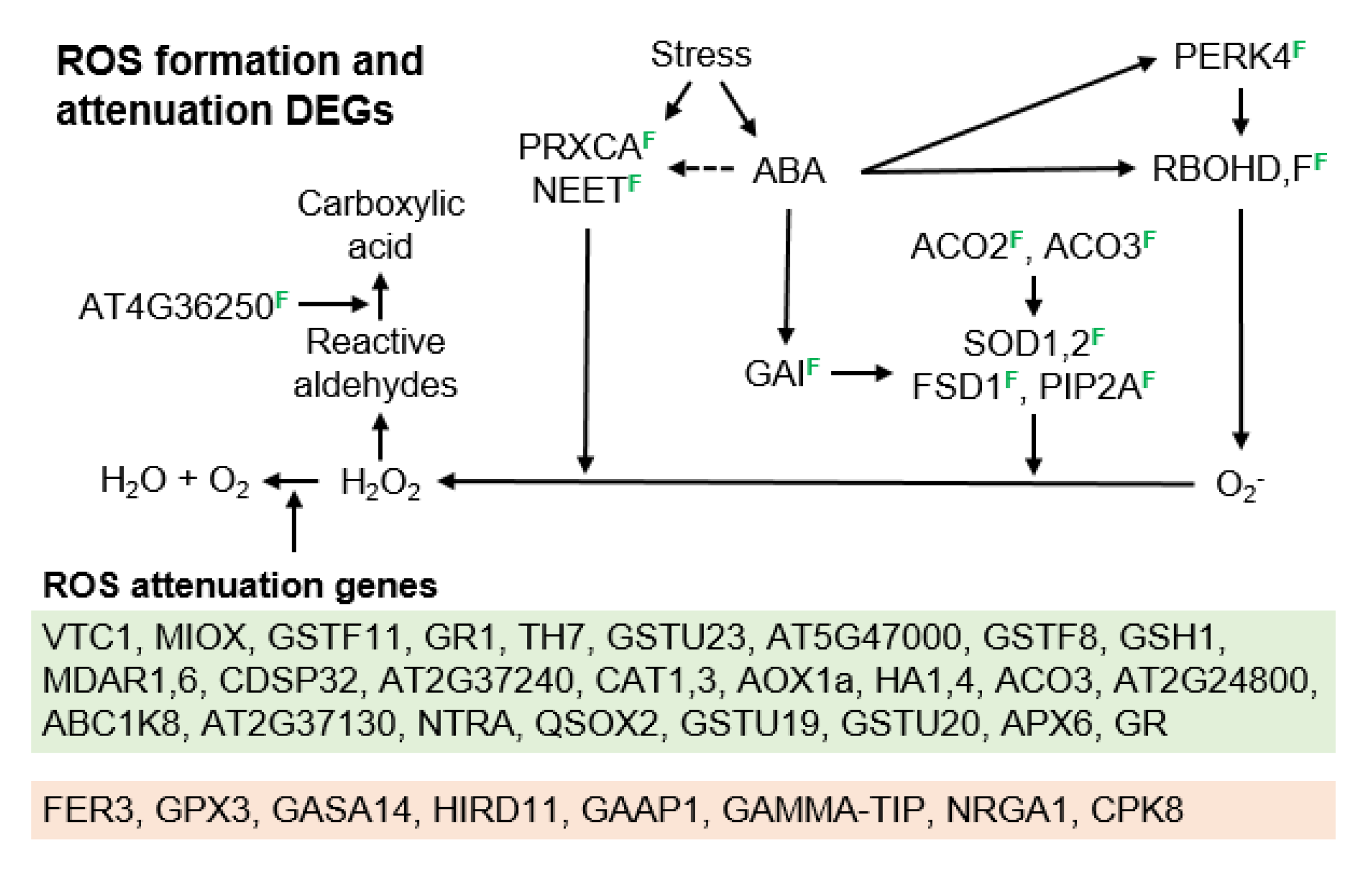 Genes 11 01449 g007