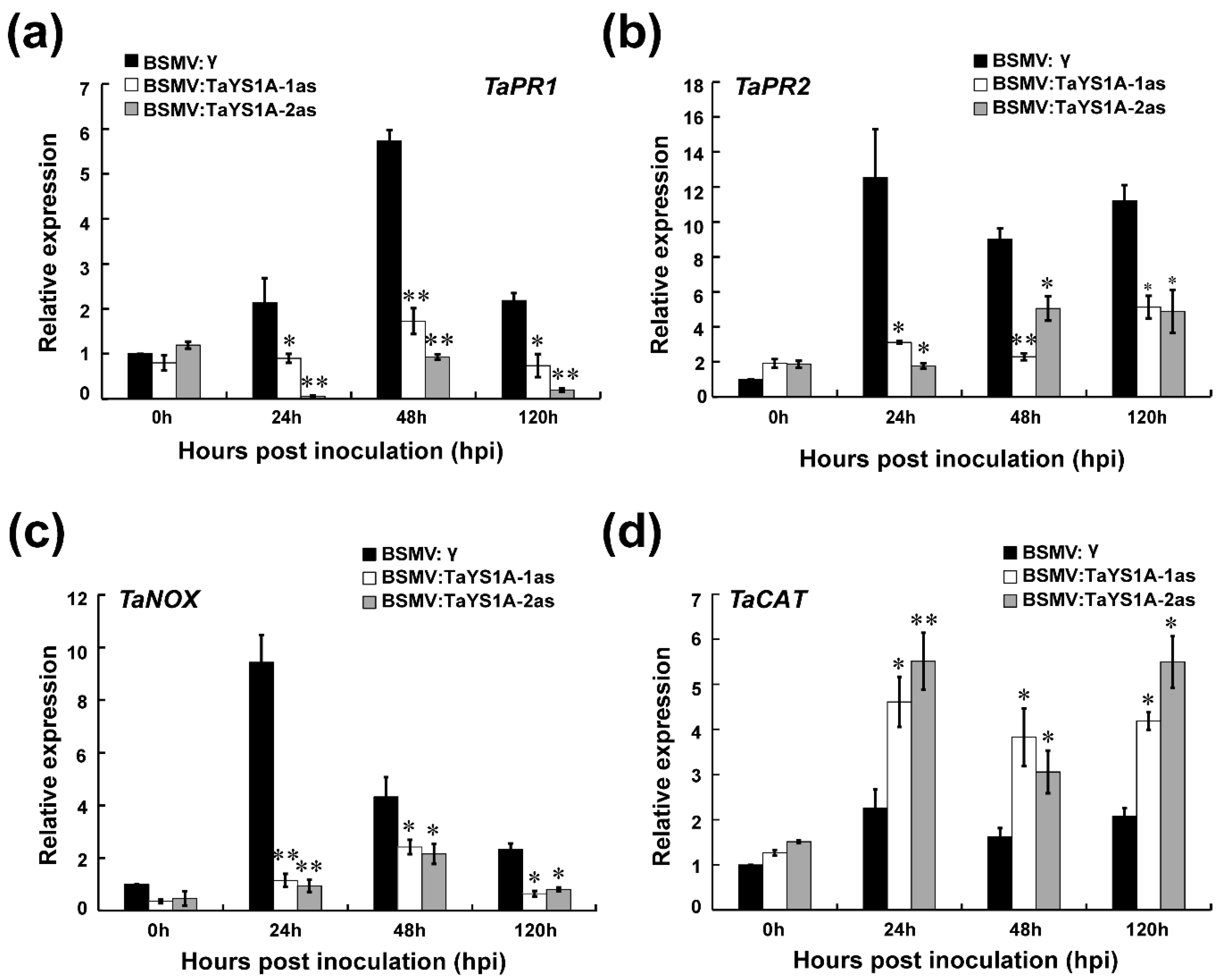 Genes 11 01452 g006 Genes 11 01452 g006