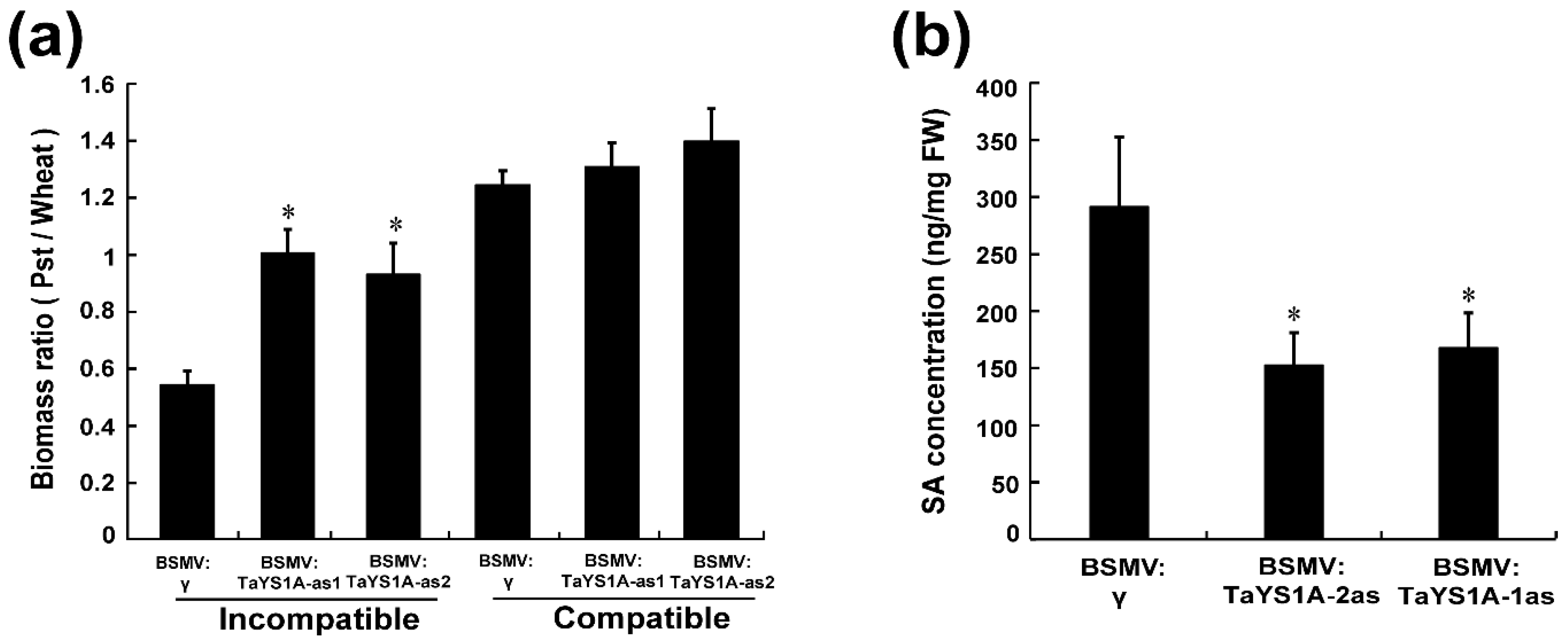 Genes 11 01452 g007 Genes 11 01452 g007