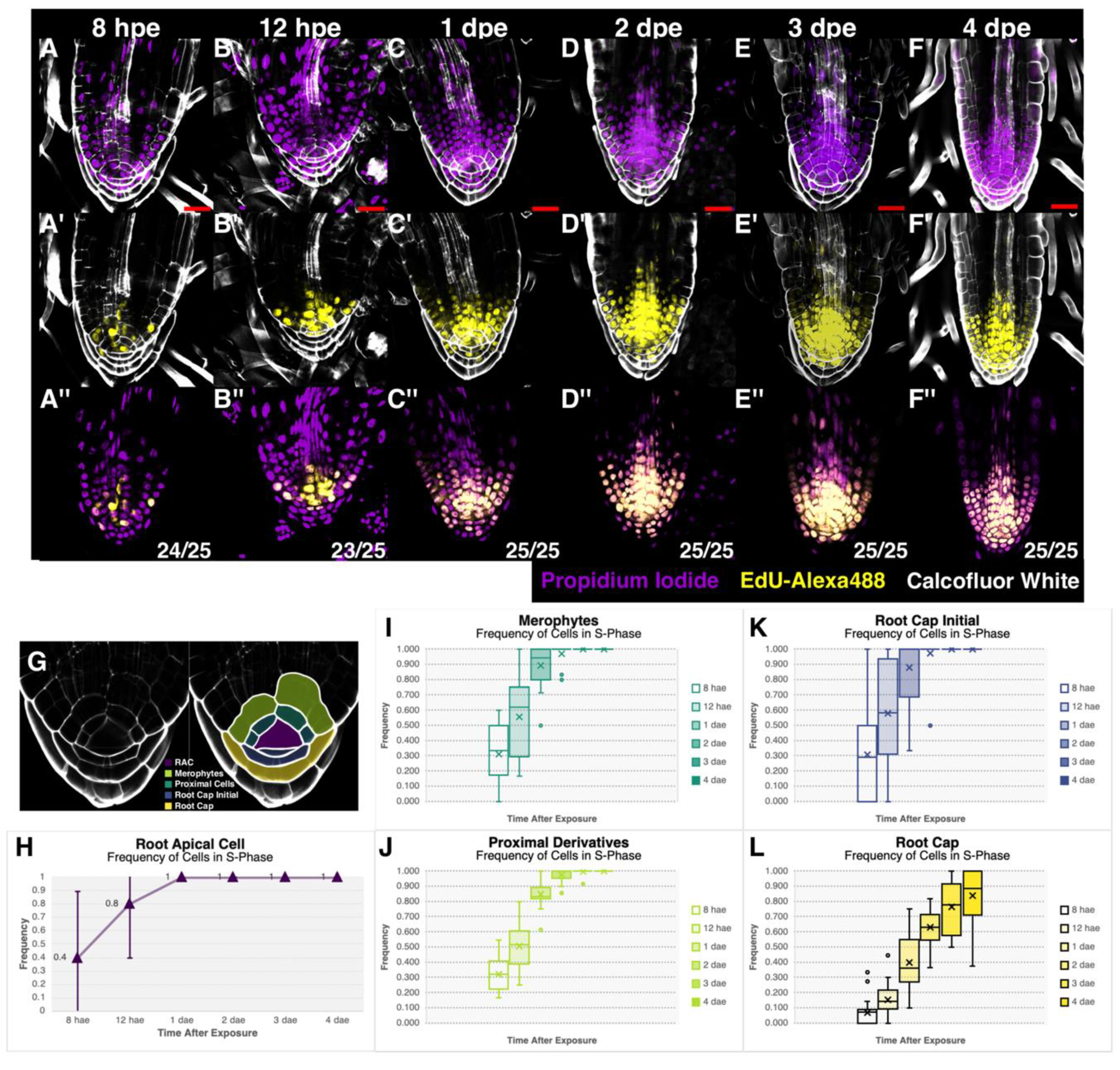 Genes 11 01455 g006 Genes 11 01455 g006