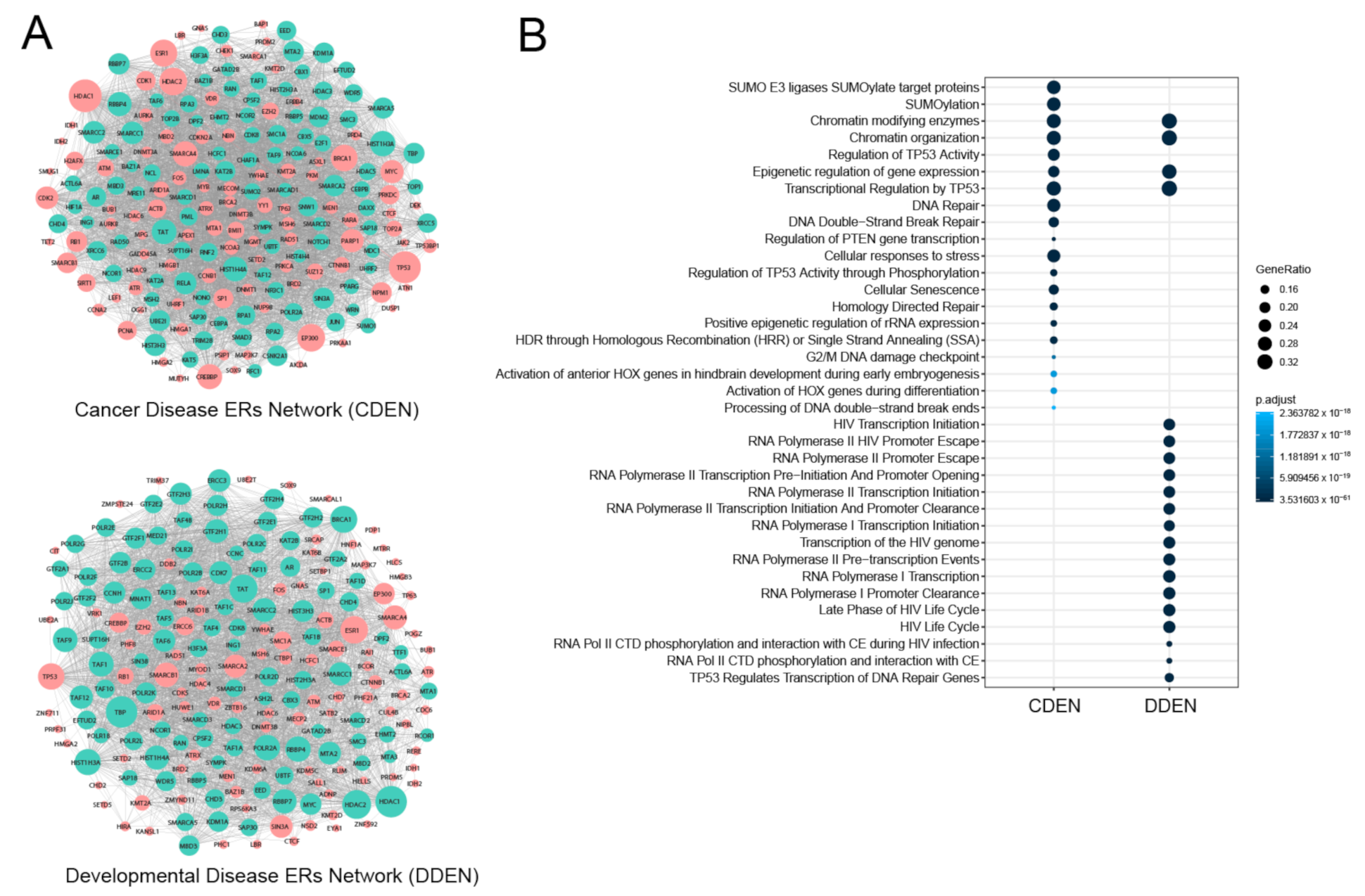 Genes 11 01457 g003 Genes 11 01457 g003