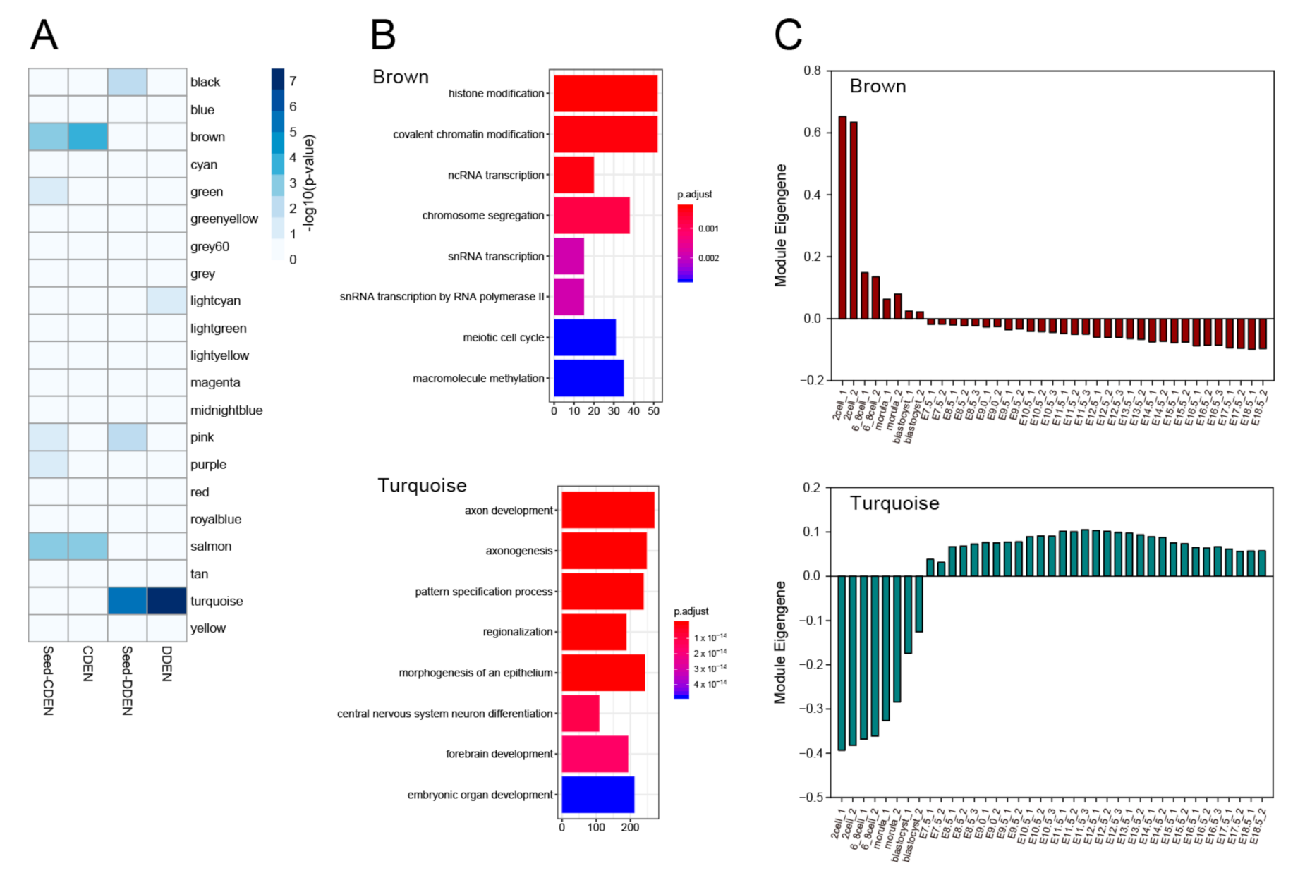 Genes 11 01457 g004 Genes 11 01457 g004