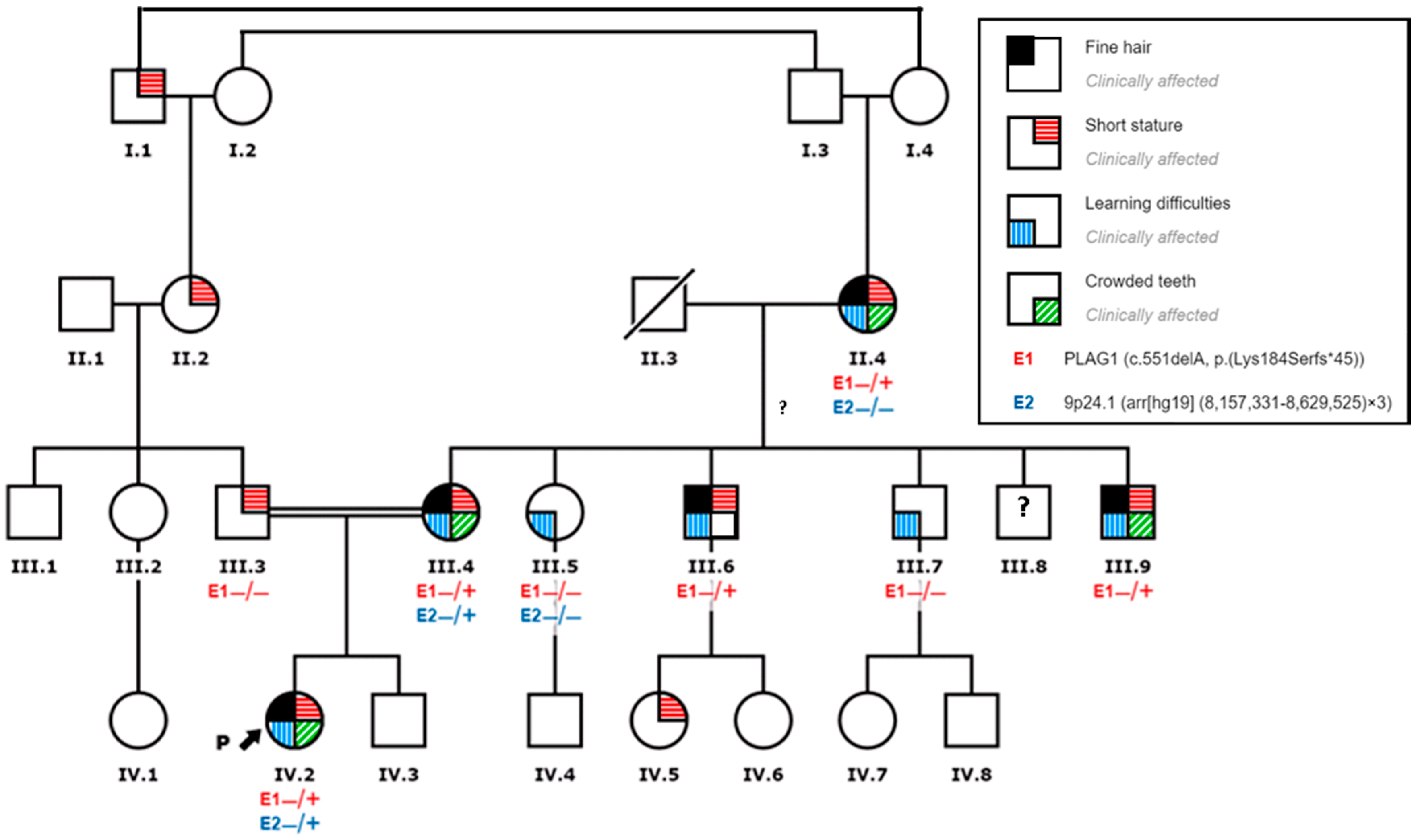 Genes 11 01461 g002 Genes 11 01461 g002