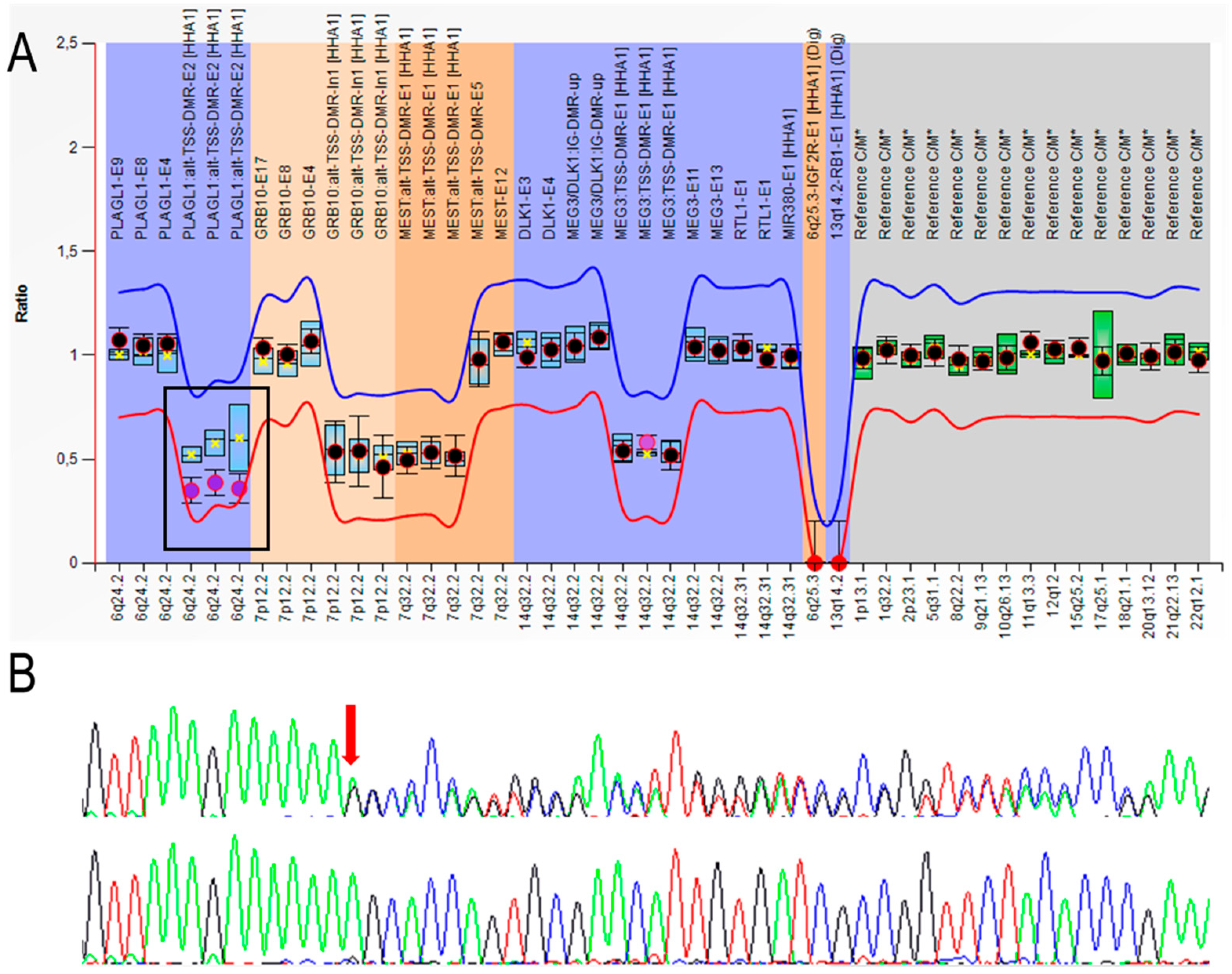 Genes 11 01461 g003 Genes 11 01461 g003