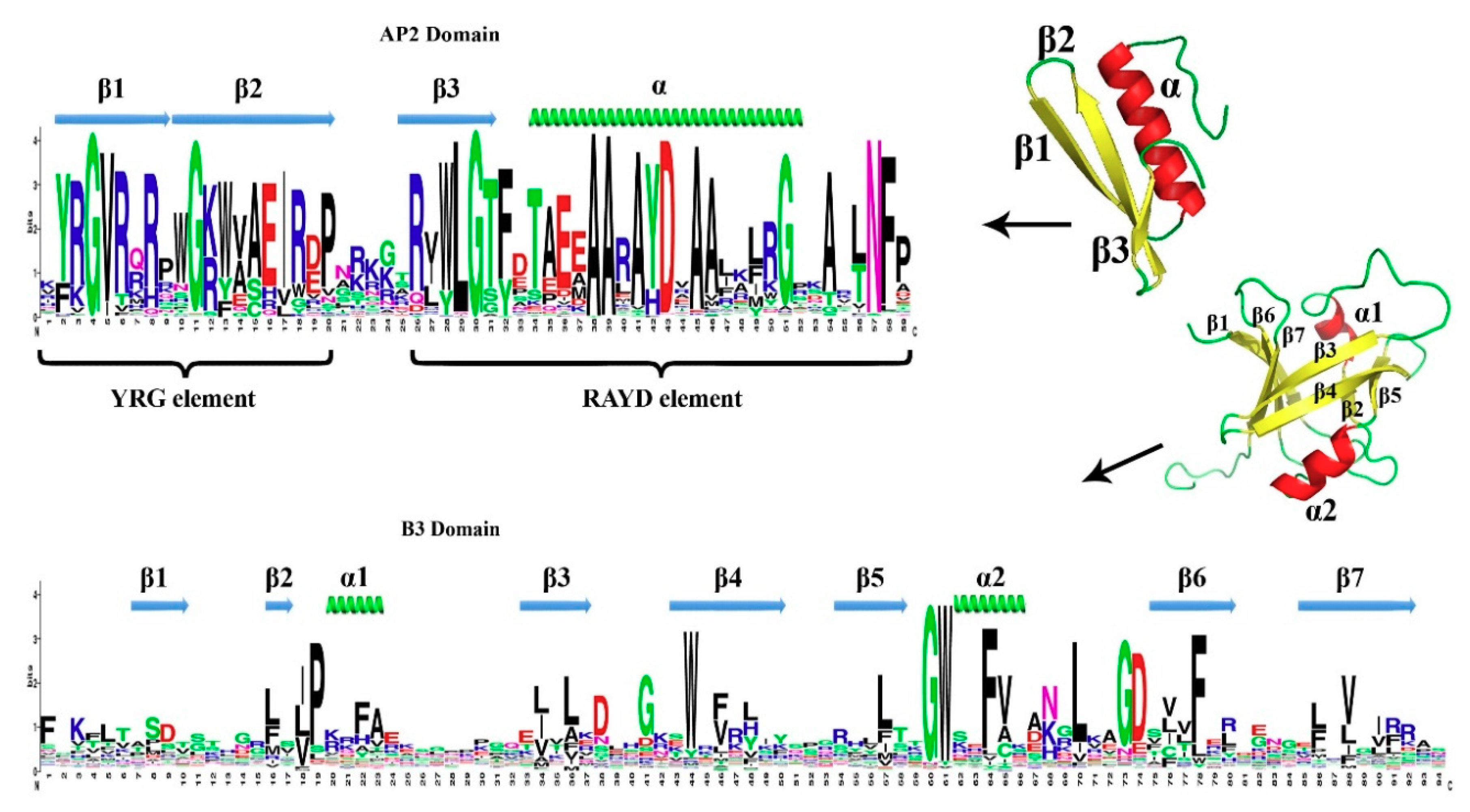 Genes 11 01464 g003