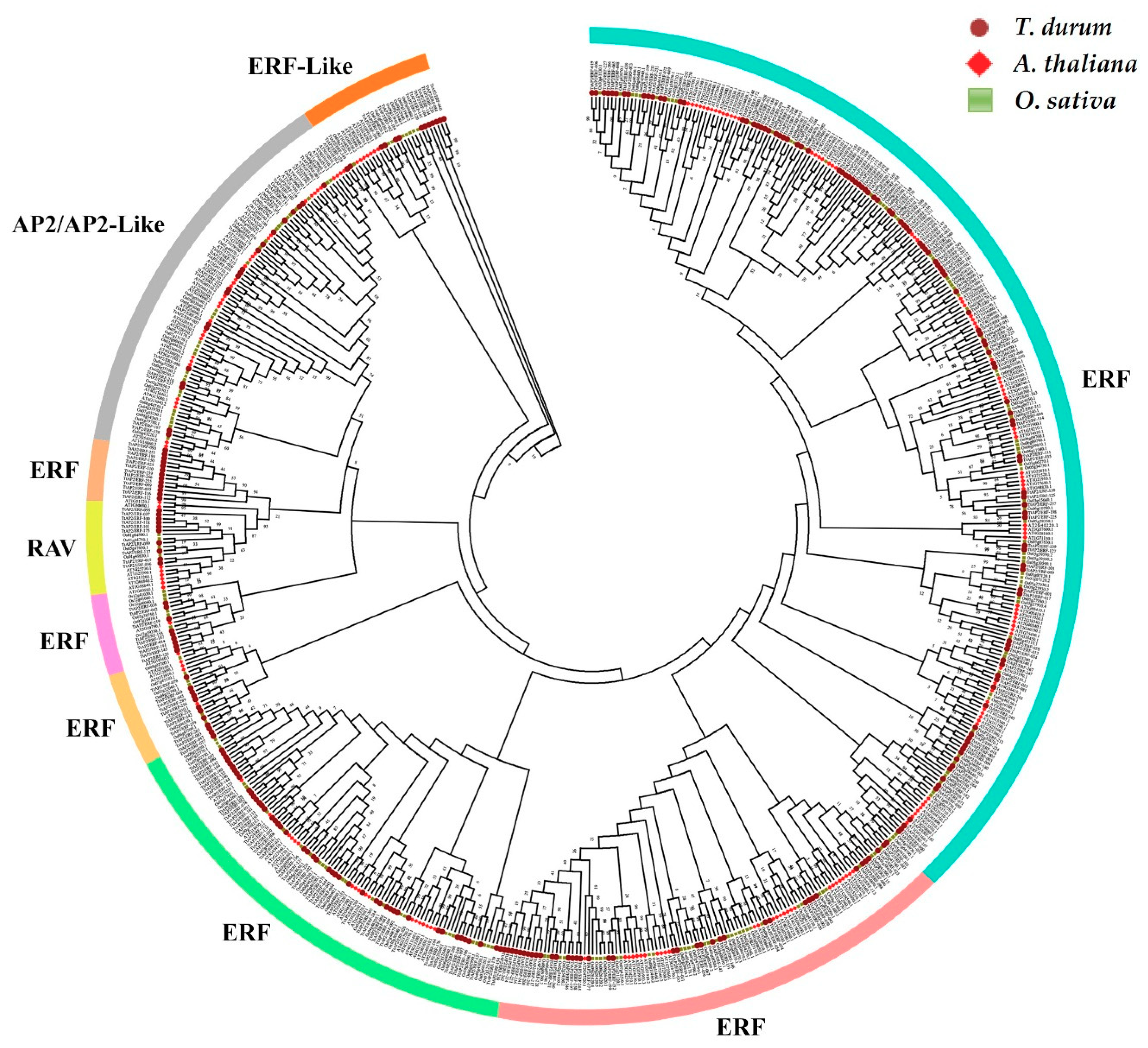 Genes 11 01464 g004