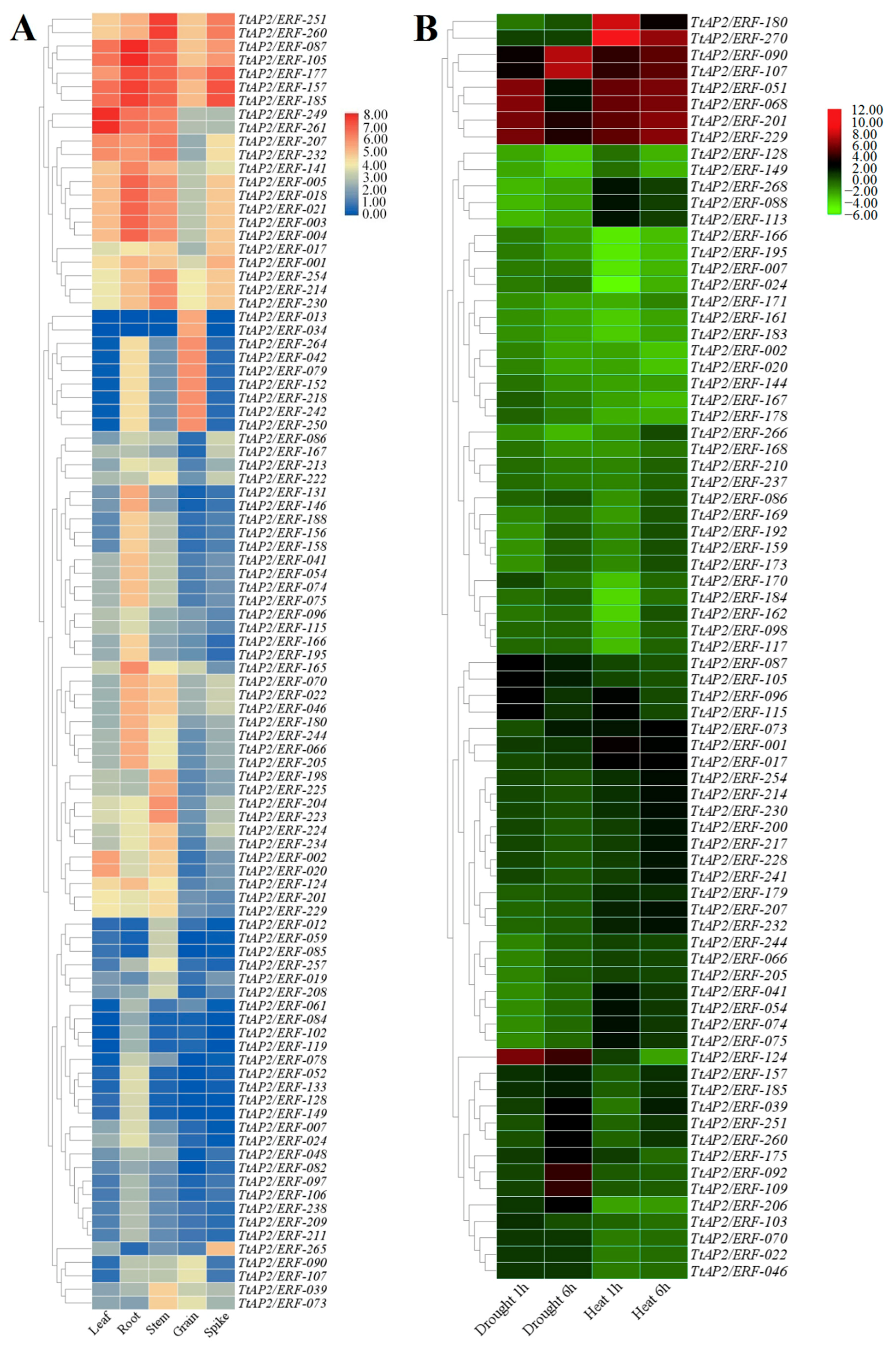 Genes 11 01464 g007