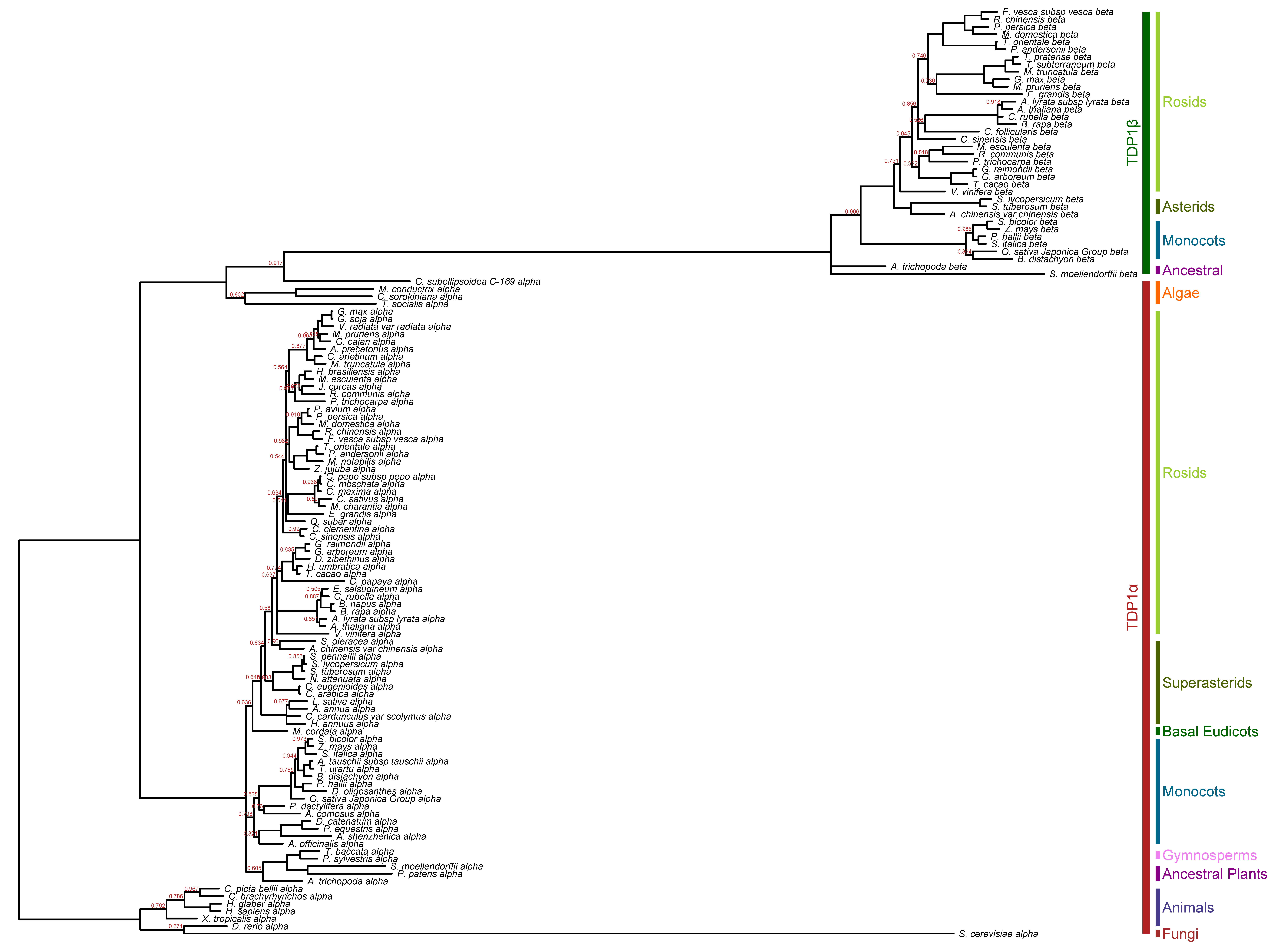 Genes 11 01465 g002 Genes 11 01465 g002