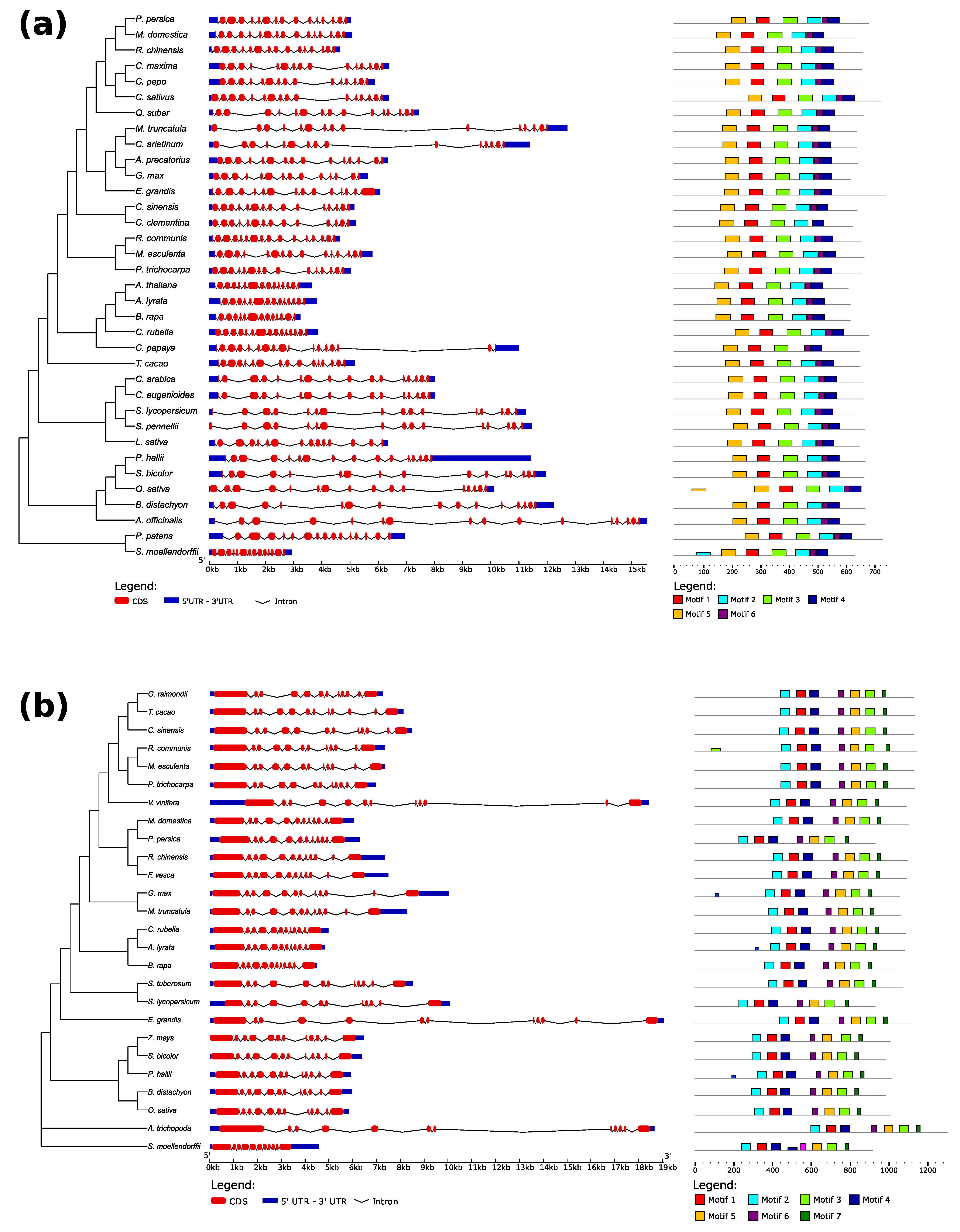 Genes 11 01465 g003 Genes 11 01465 g003