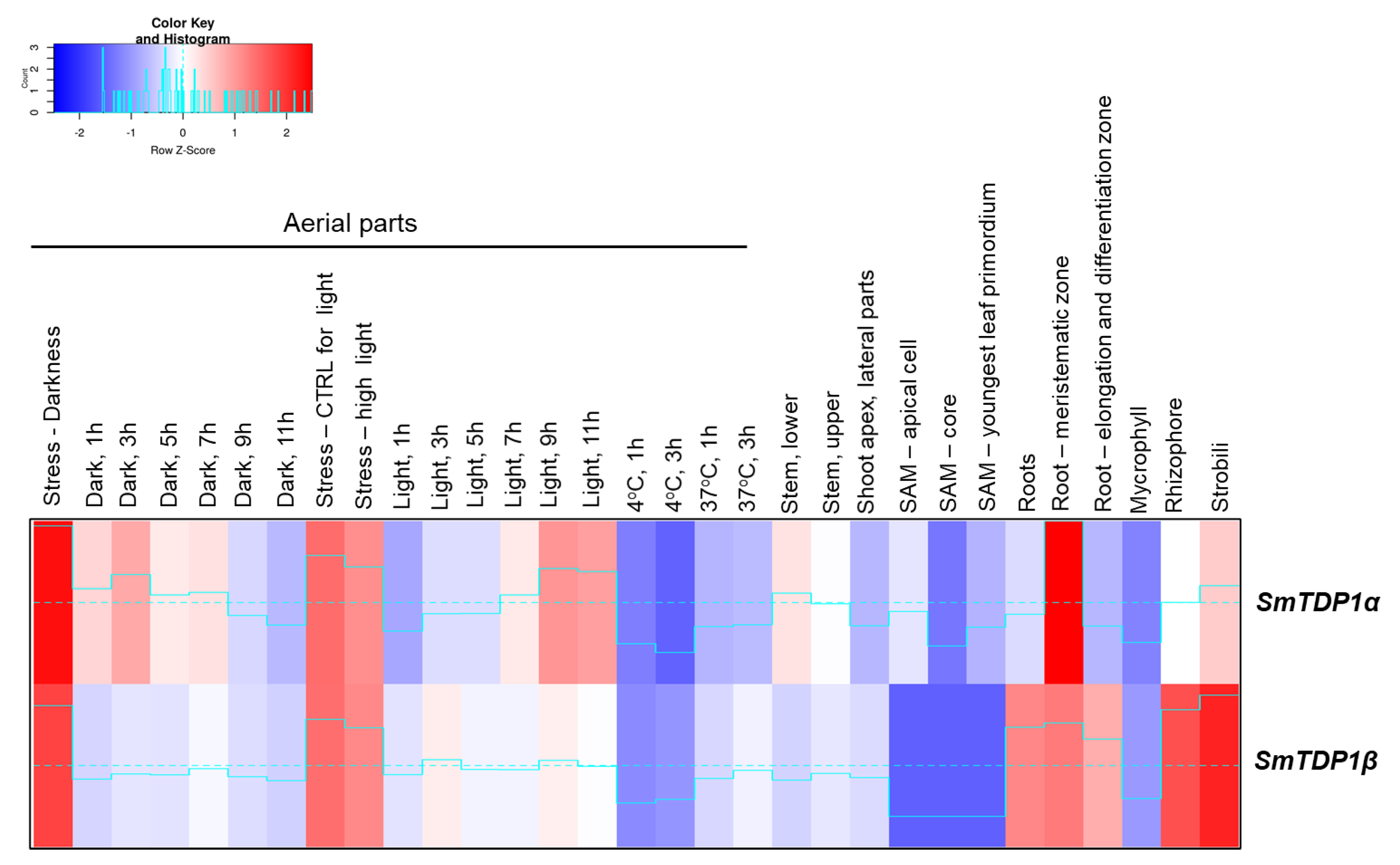 Genes 11 01465 g004 Genes 11 01465 g004