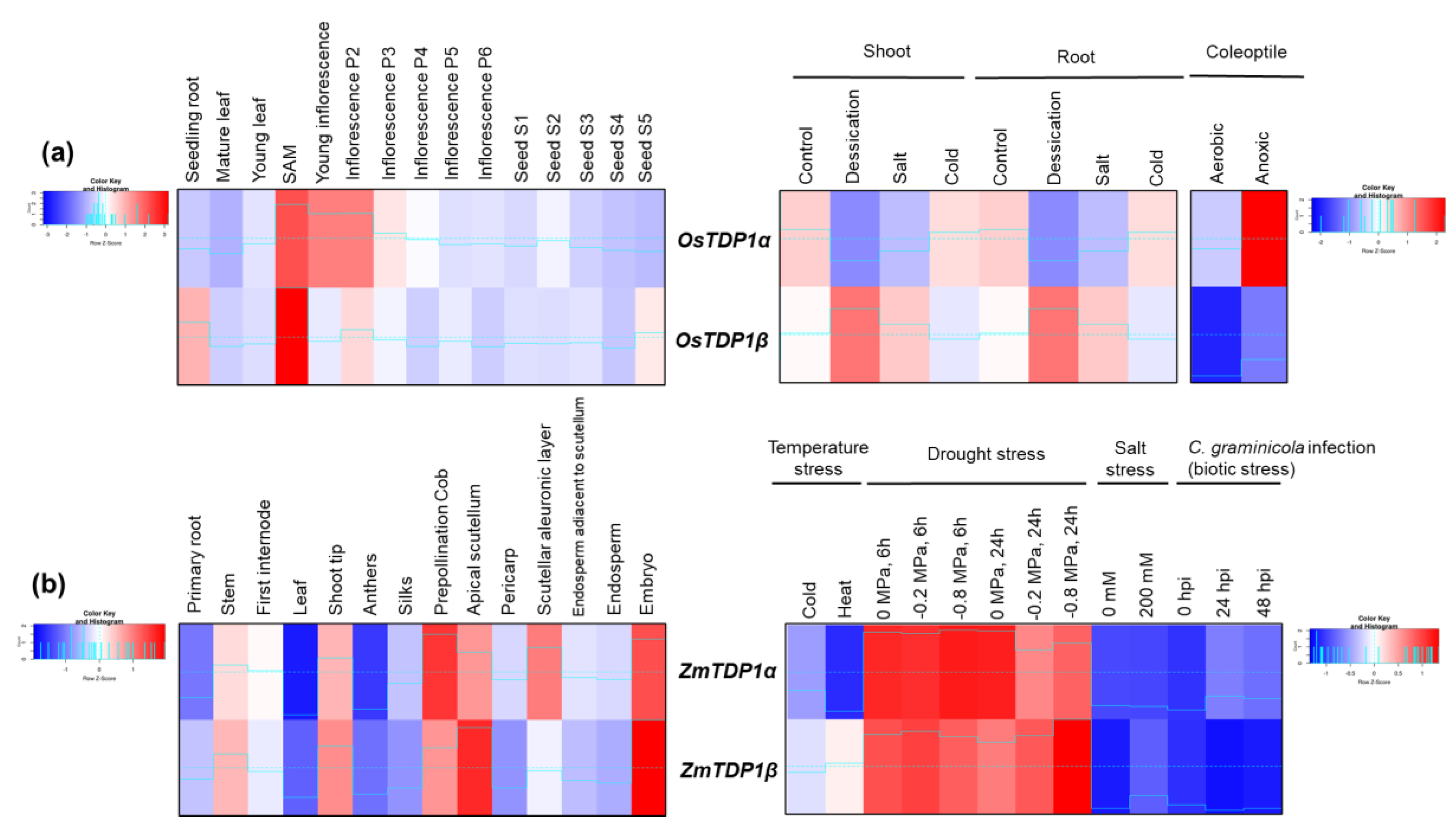 Genes 11 01465 g005 Genes 11 01465 g005