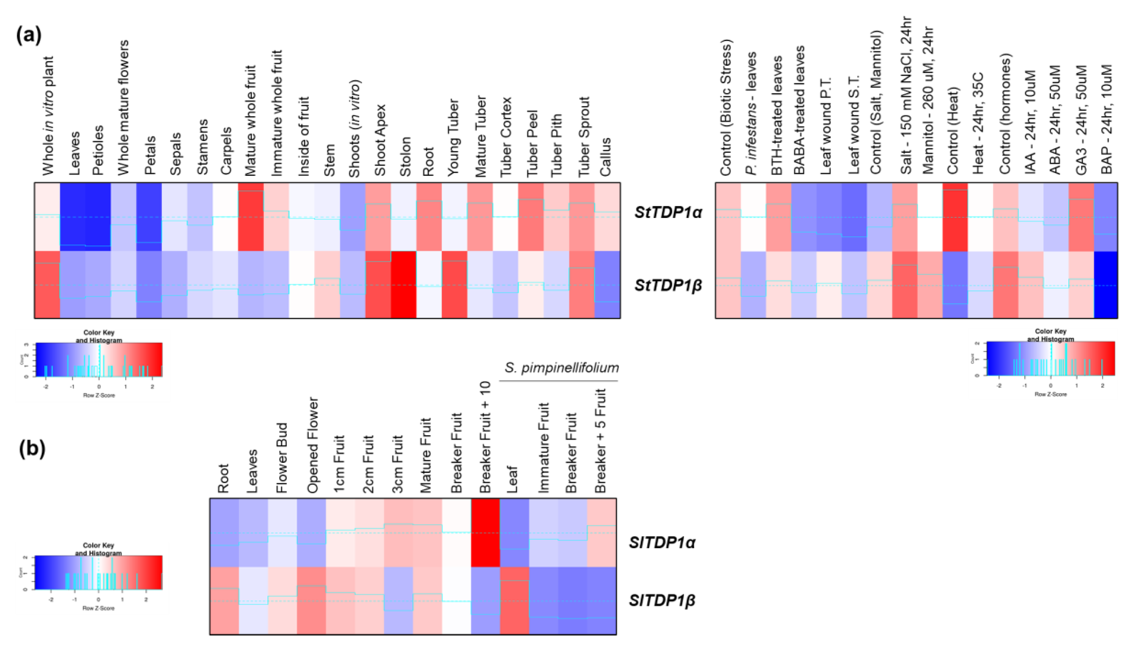 Genes 11 01465 g006 Genes 11 01465 g006