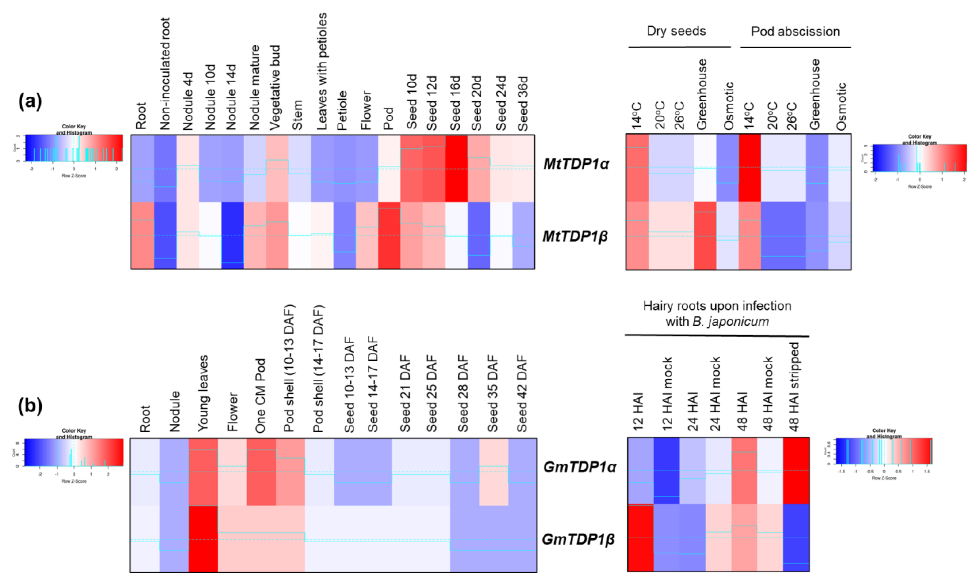 Genes 11 01465 g007 Genes 11 01465 g007