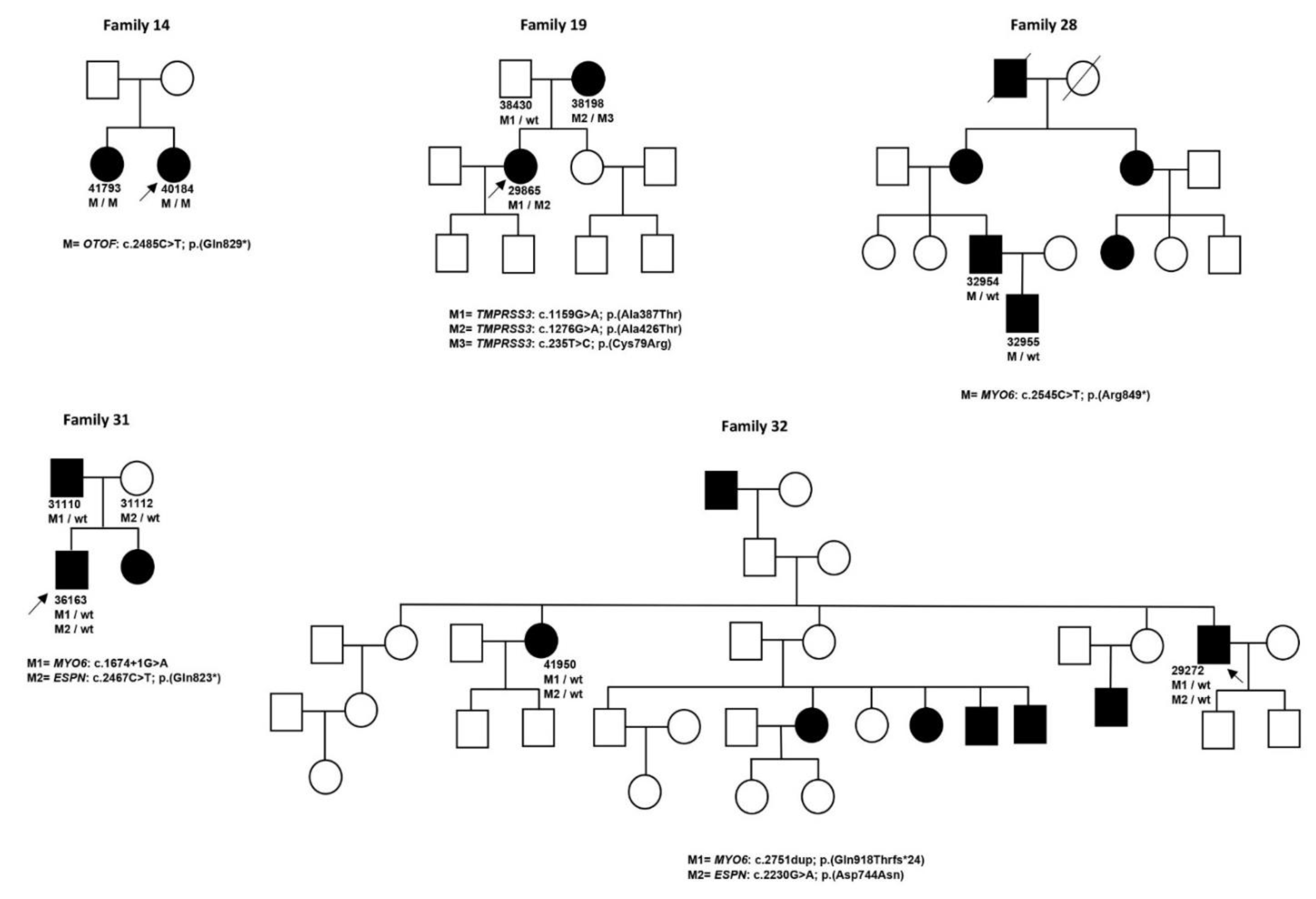 Genes 11 01467 g002a