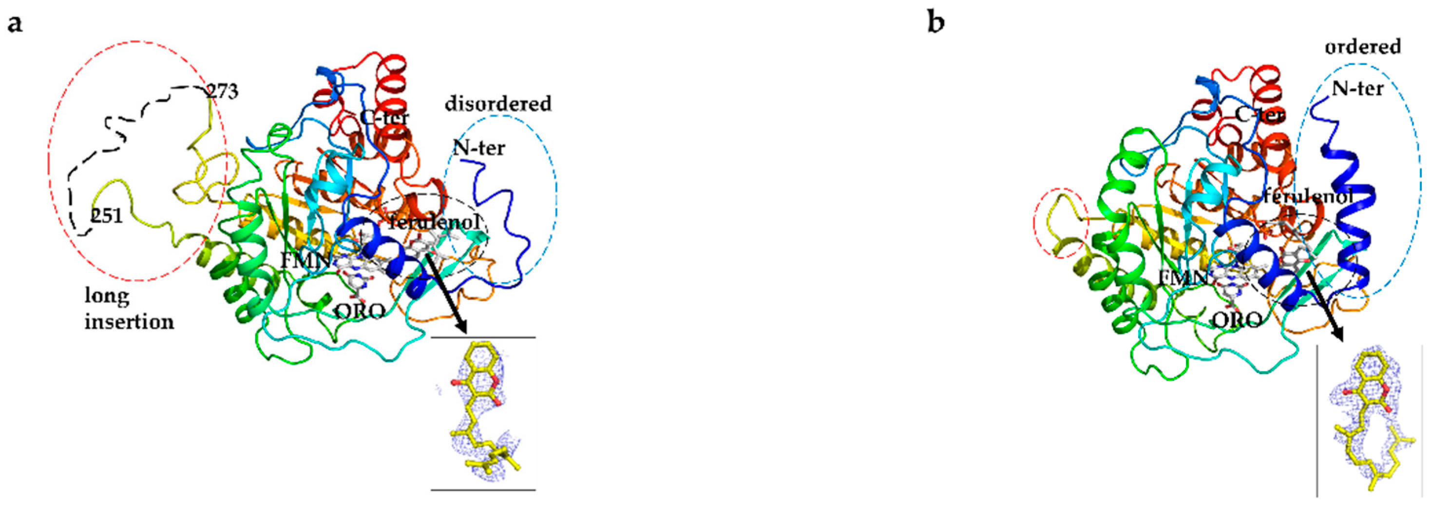 Genes 11 01468 g005