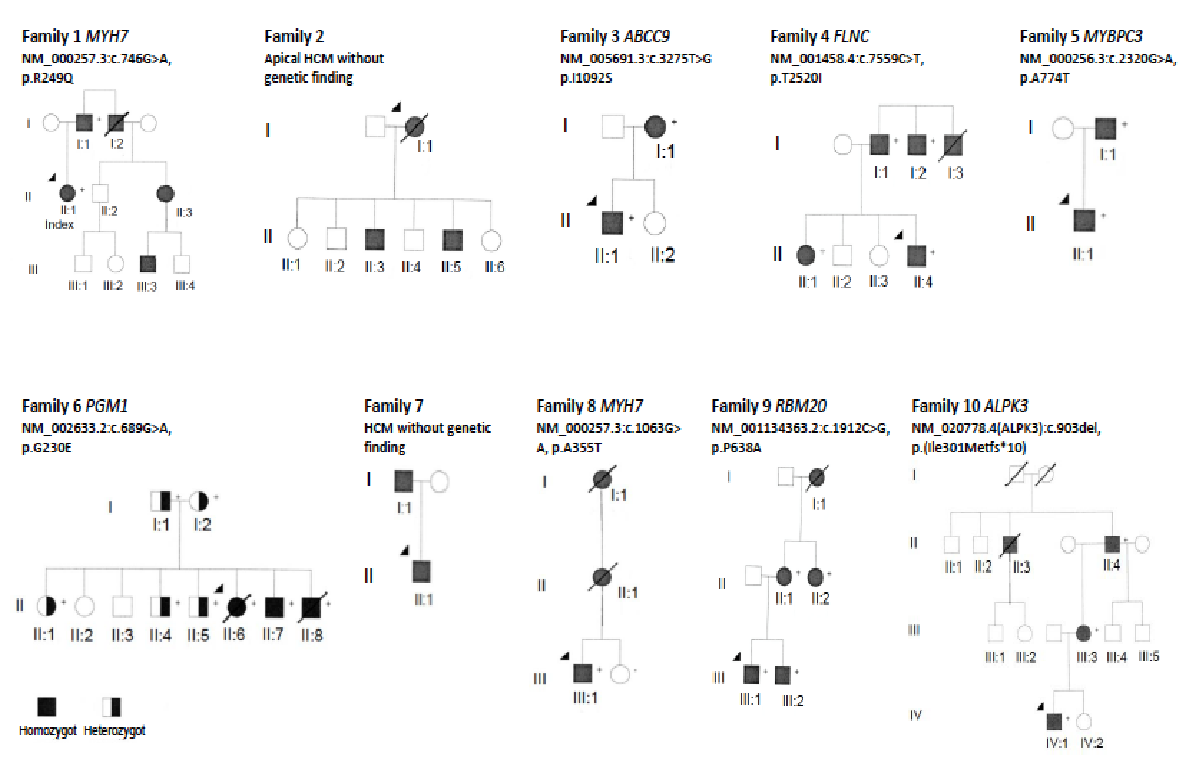 Genes 11 01472 g002 Genes 11 01472 g002