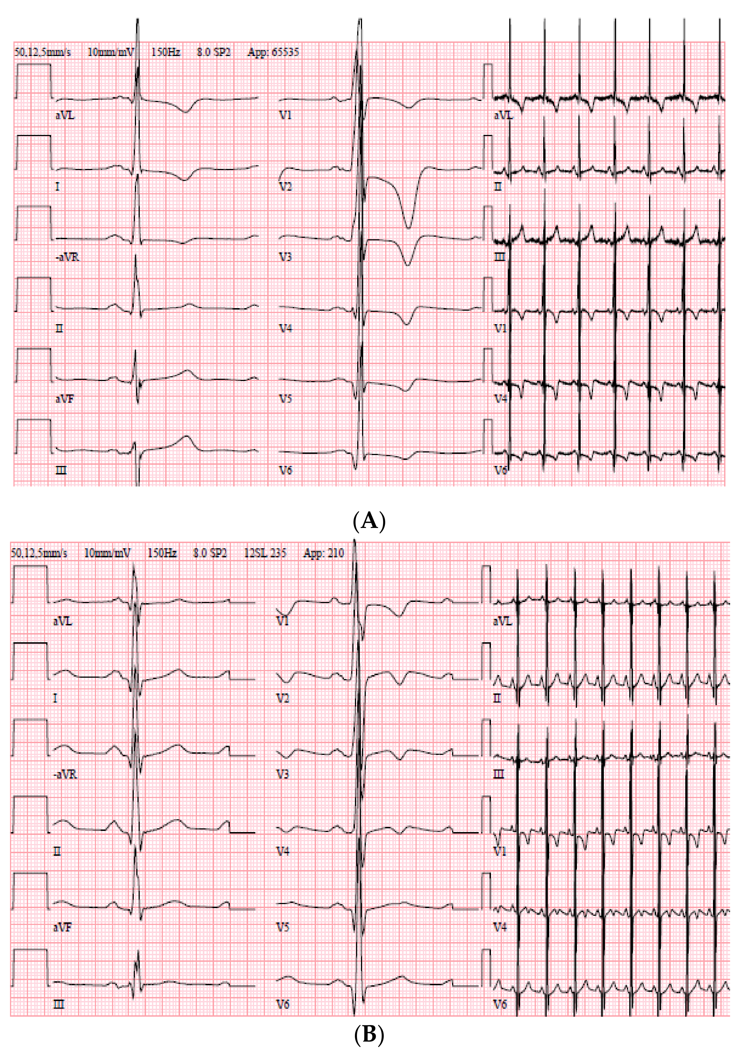 Genes 11 01472 g004 Genes 11 01472 g004