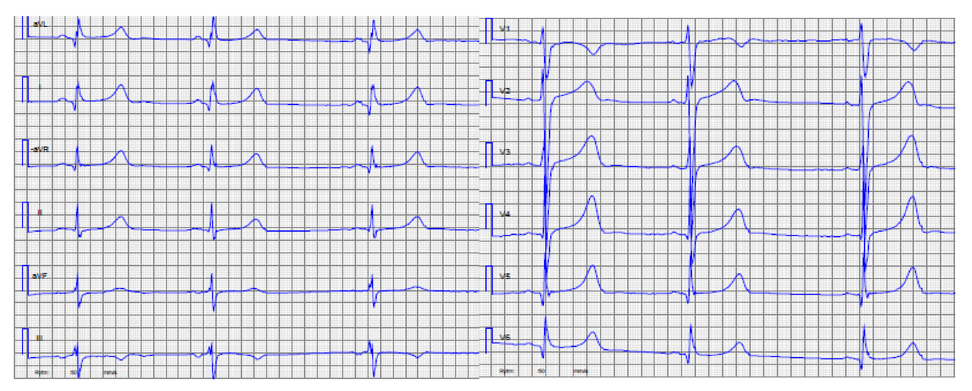 Genes 11 01472 g005 Genes 11 01472 g005