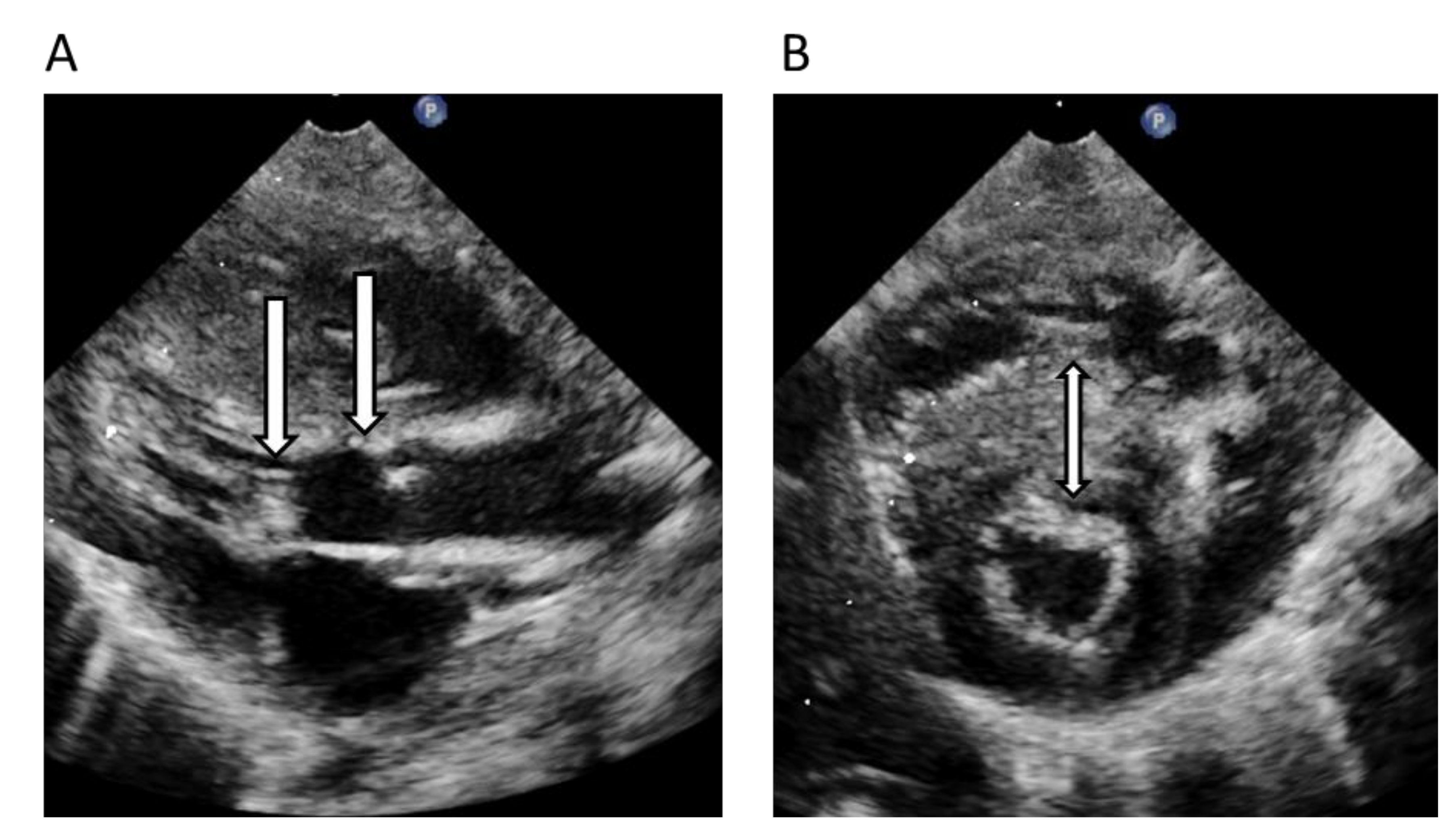 Genes 11 01472 g006 Genes 11 01472 g006