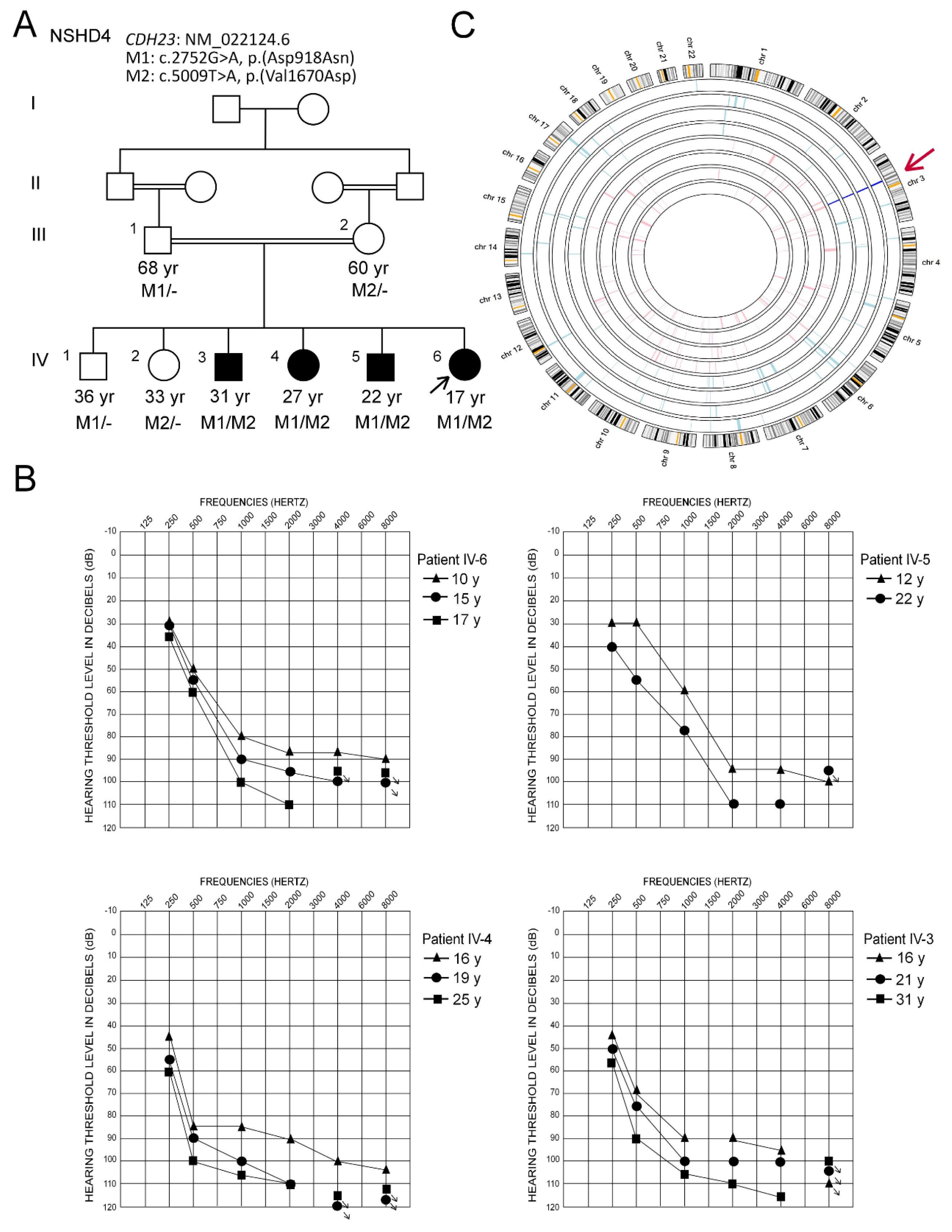 Genes 11 01474 g001