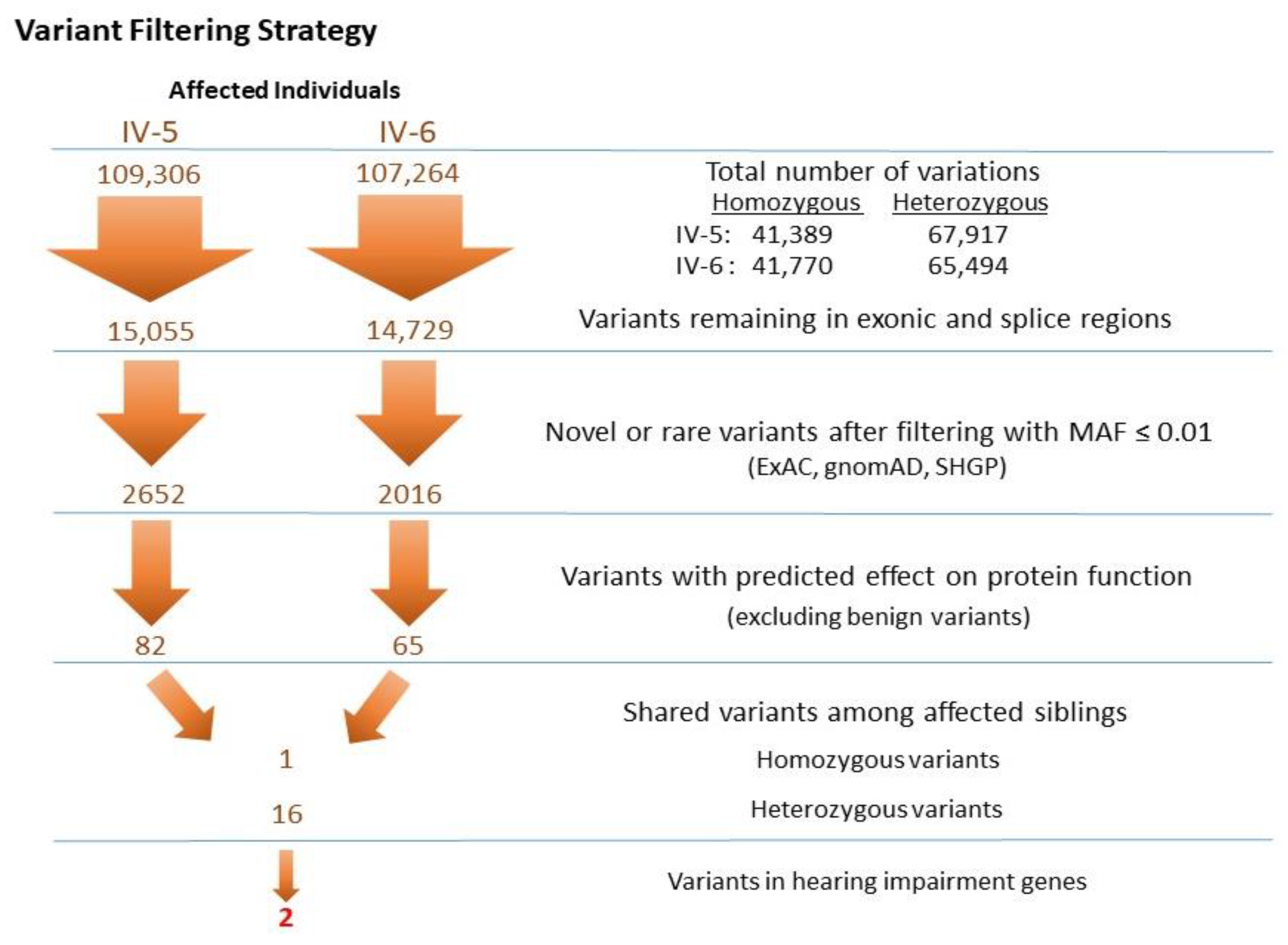 Genes 11 01474 g002