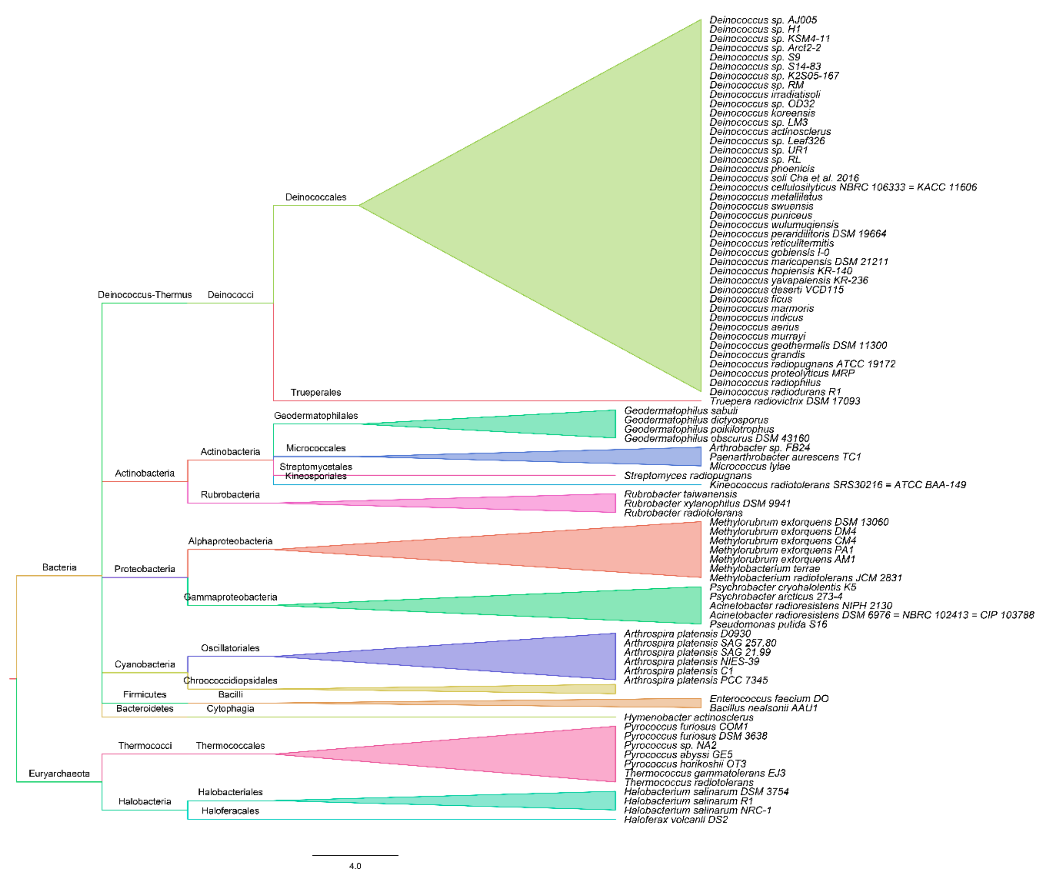 Genes 11 01477 g001 Genes 11 01477 g001