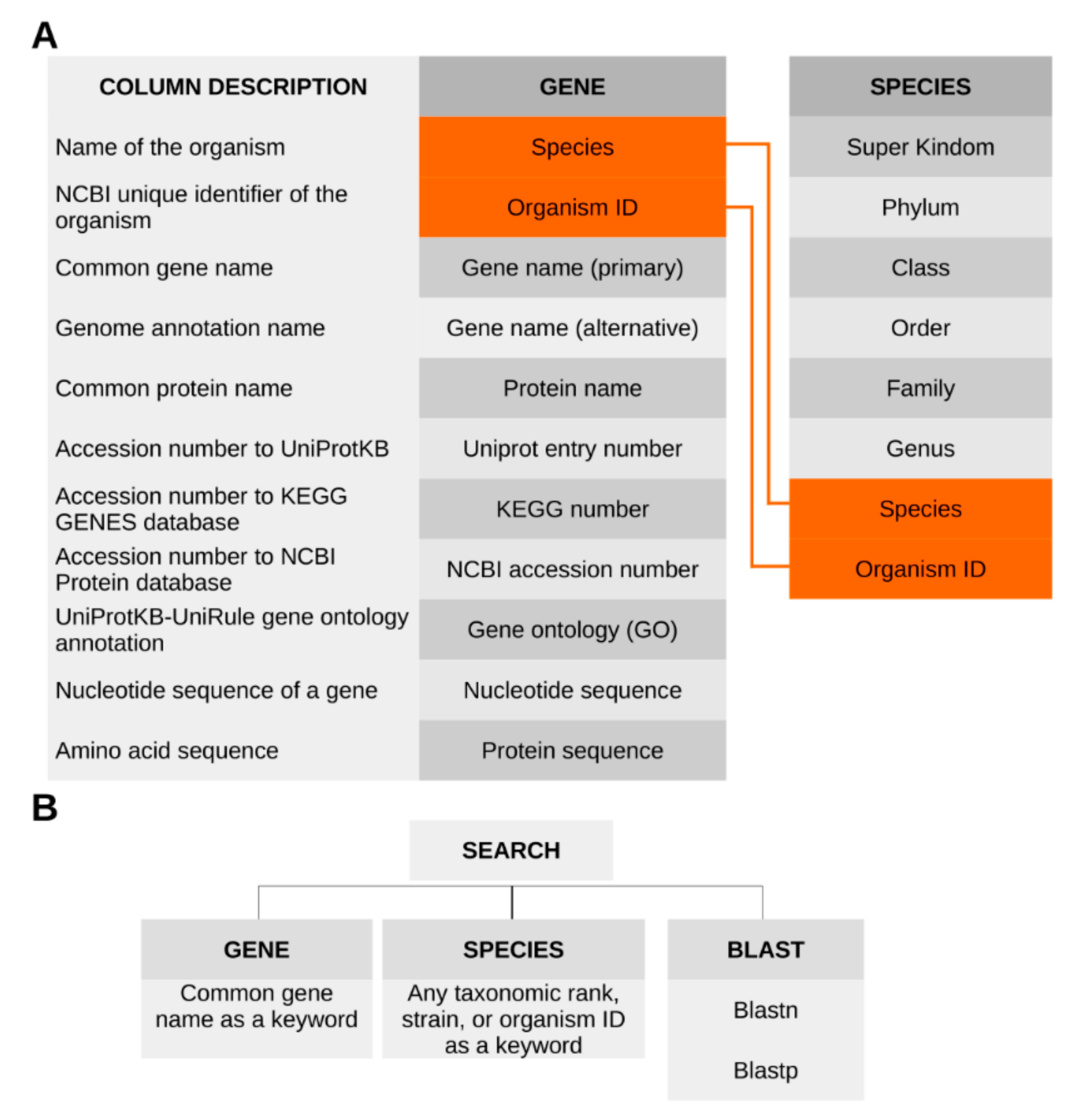 Genes 11 01477 g002 Genes 11 01477 g002