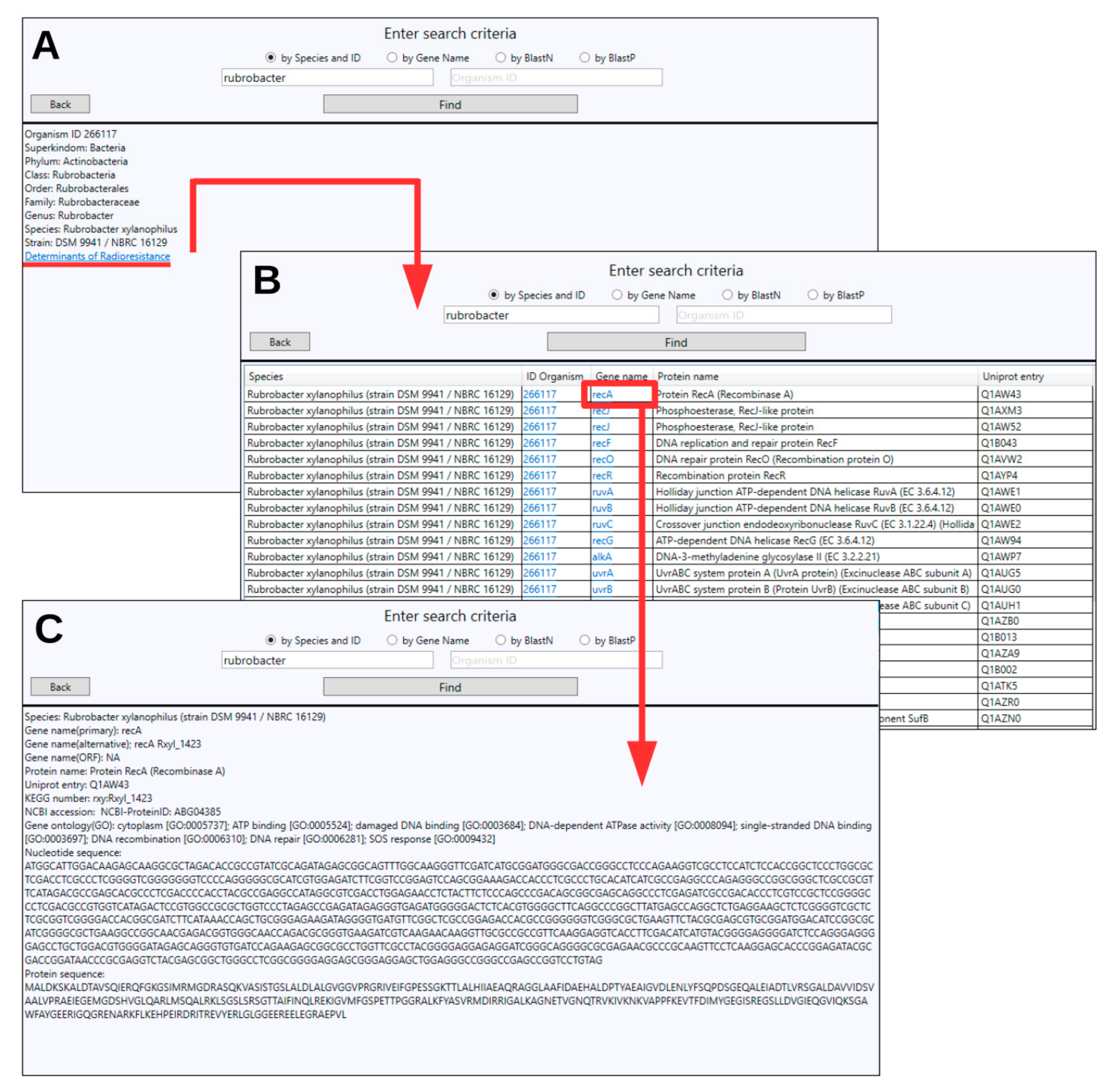 Genes 11 01477 g003 Genes 11 01477 g003