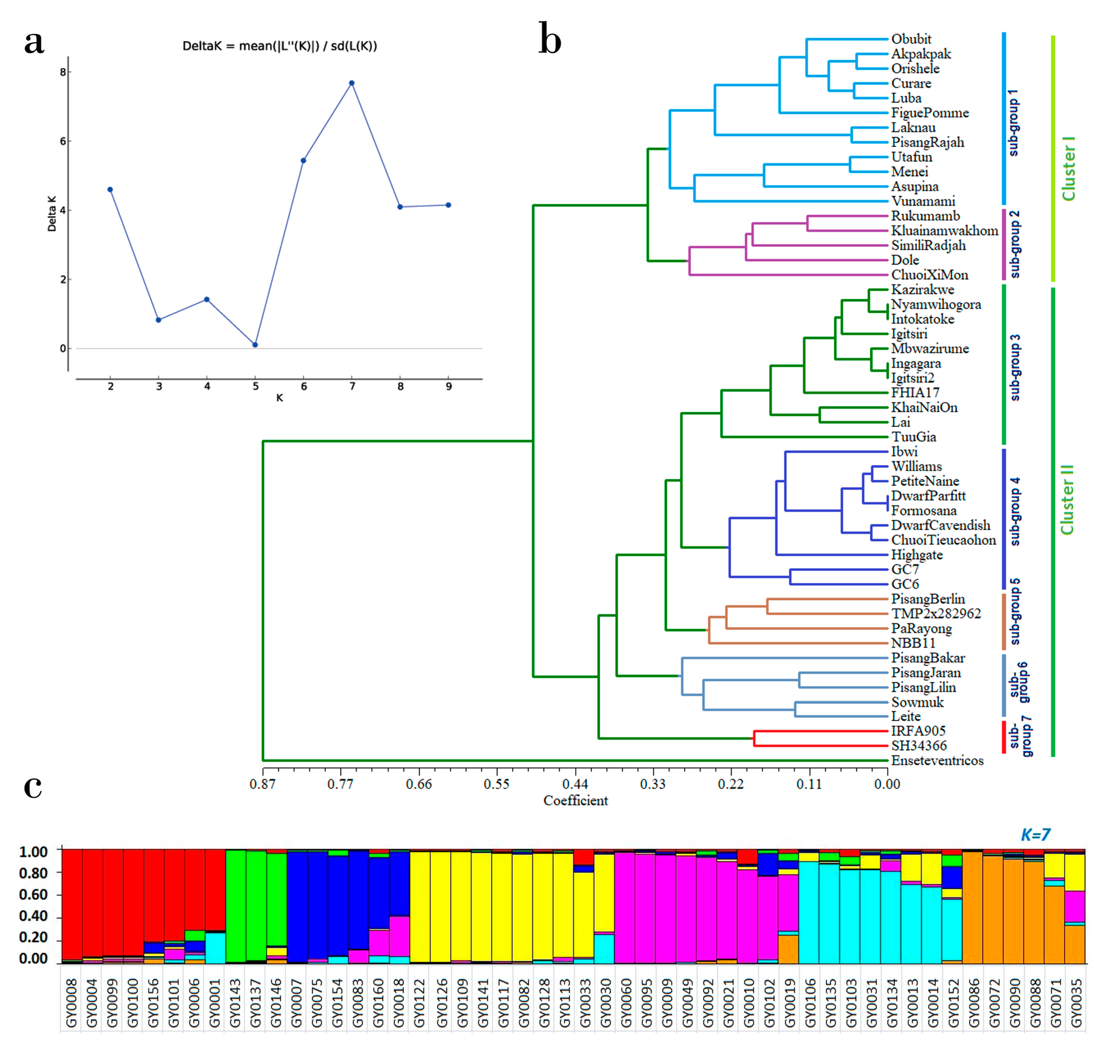Genes 11 01479 g004 Genes 11 01479 g004