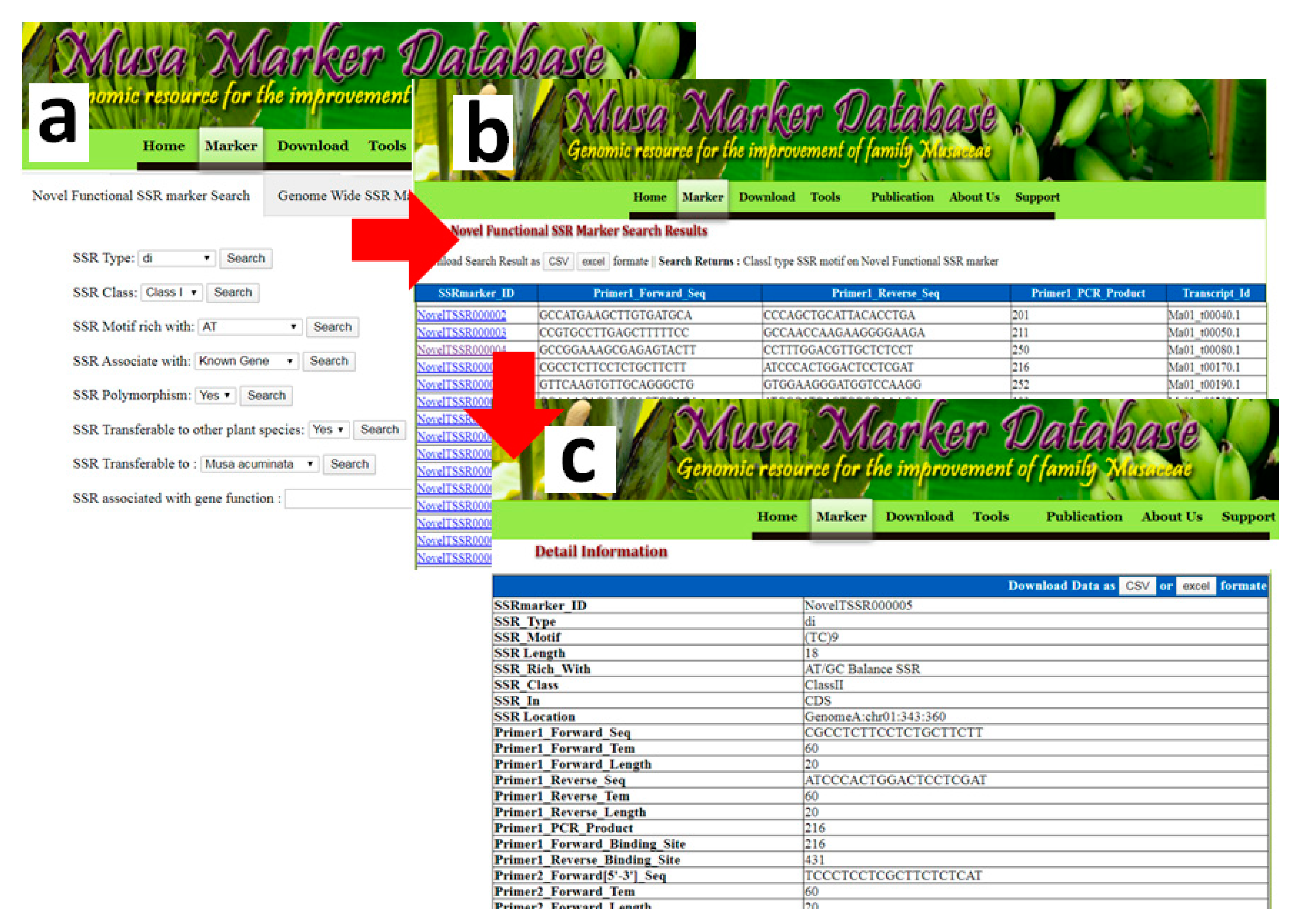 Genes 11 01479 g005 Genes 11 01479 g005