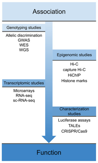 Genes 11 01482 g001 550