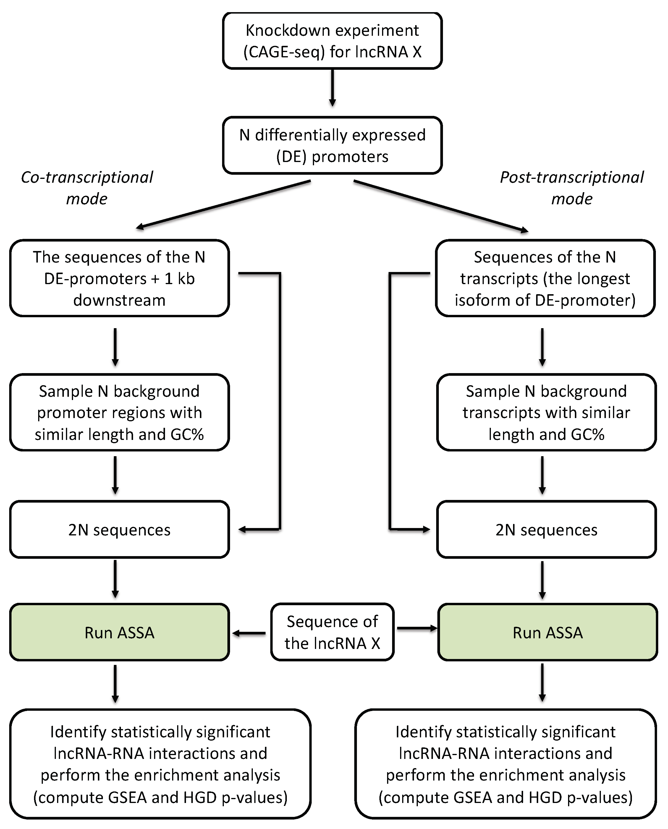 Genes 11 01483 g001 Genes 11 01483 g001