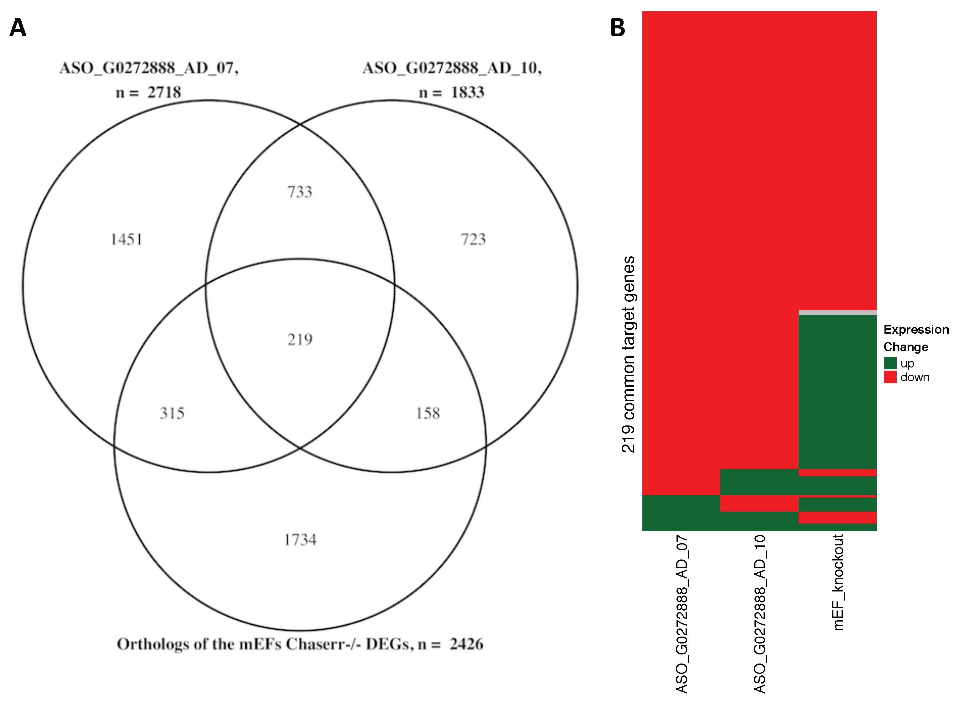 Genes 11 01483 g003 Genes 11 01483 g003