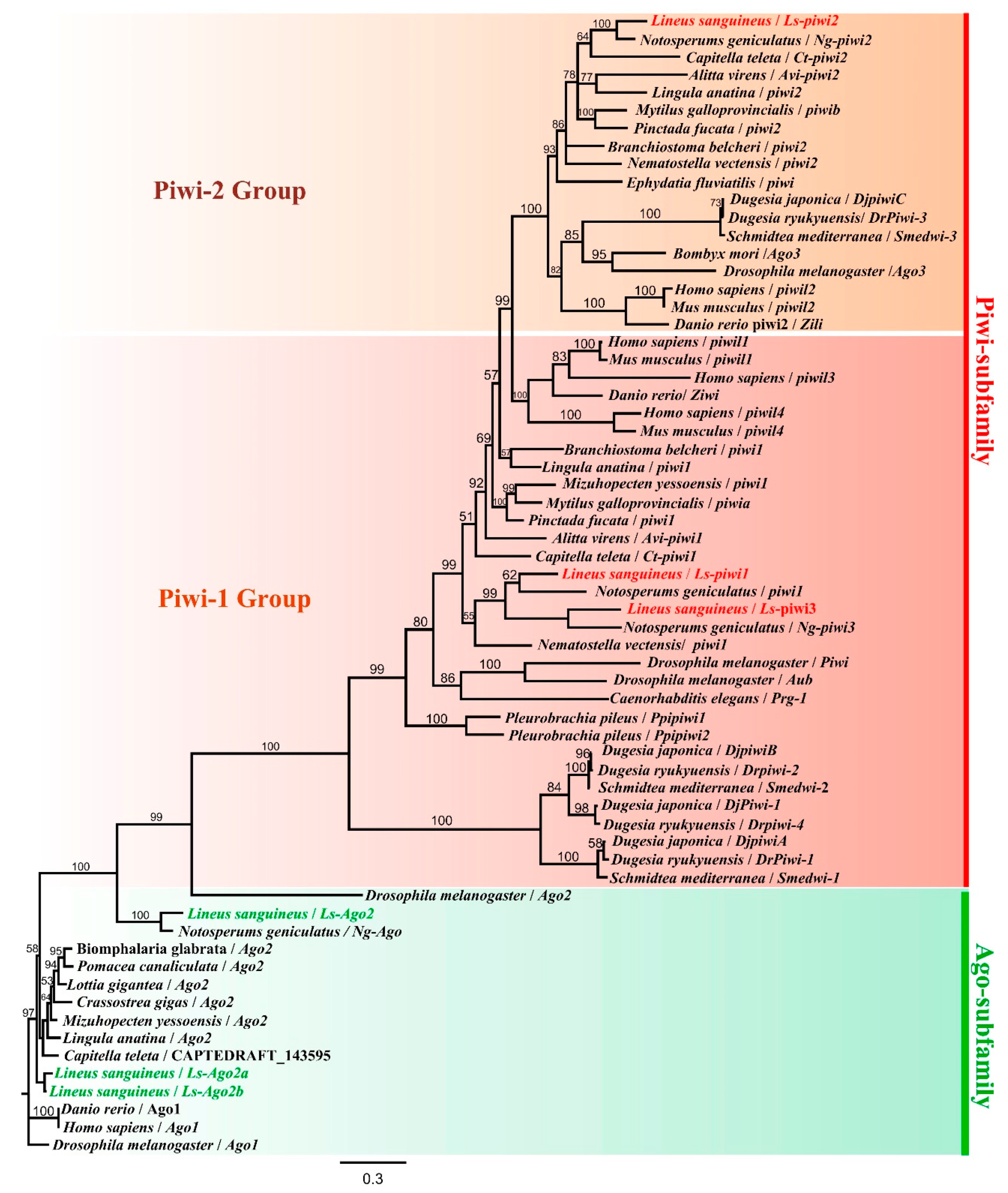 Genes 11 01484 g001 Genes 11 01484 g001