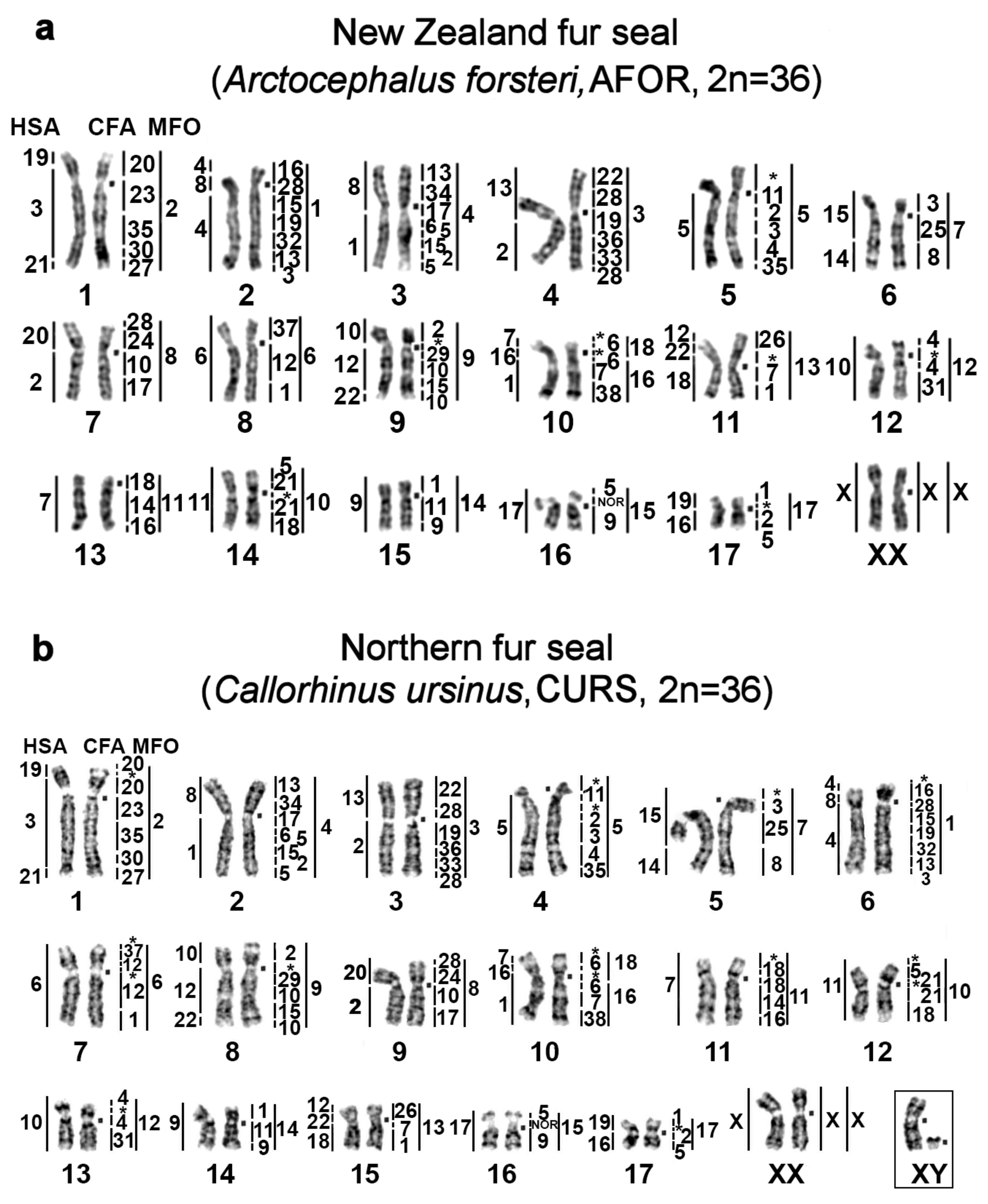 Genes 11 01485 g001a Genes 11 01485 g001a
