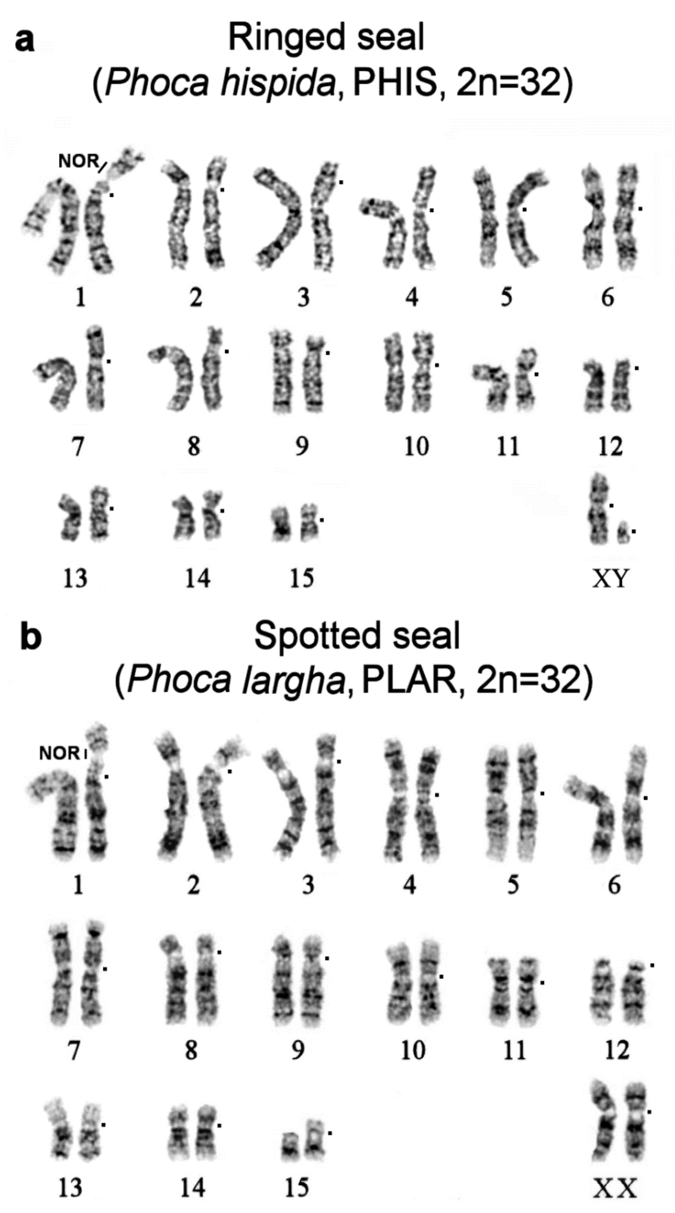 Genes 11 01485 g002 Genes 11 01485 g002