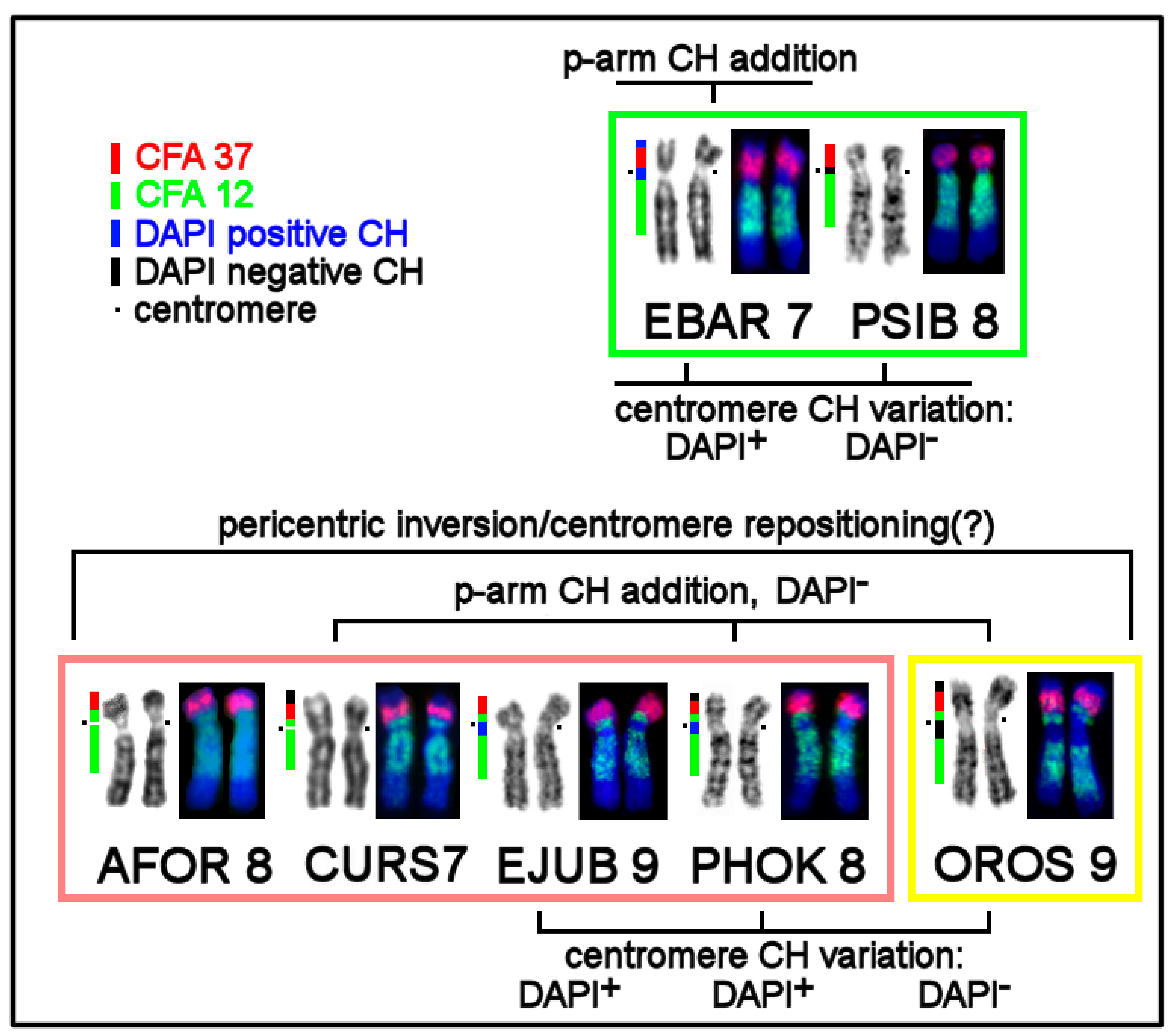 Genes 11 01485 g006 Genes 11 01485 g006