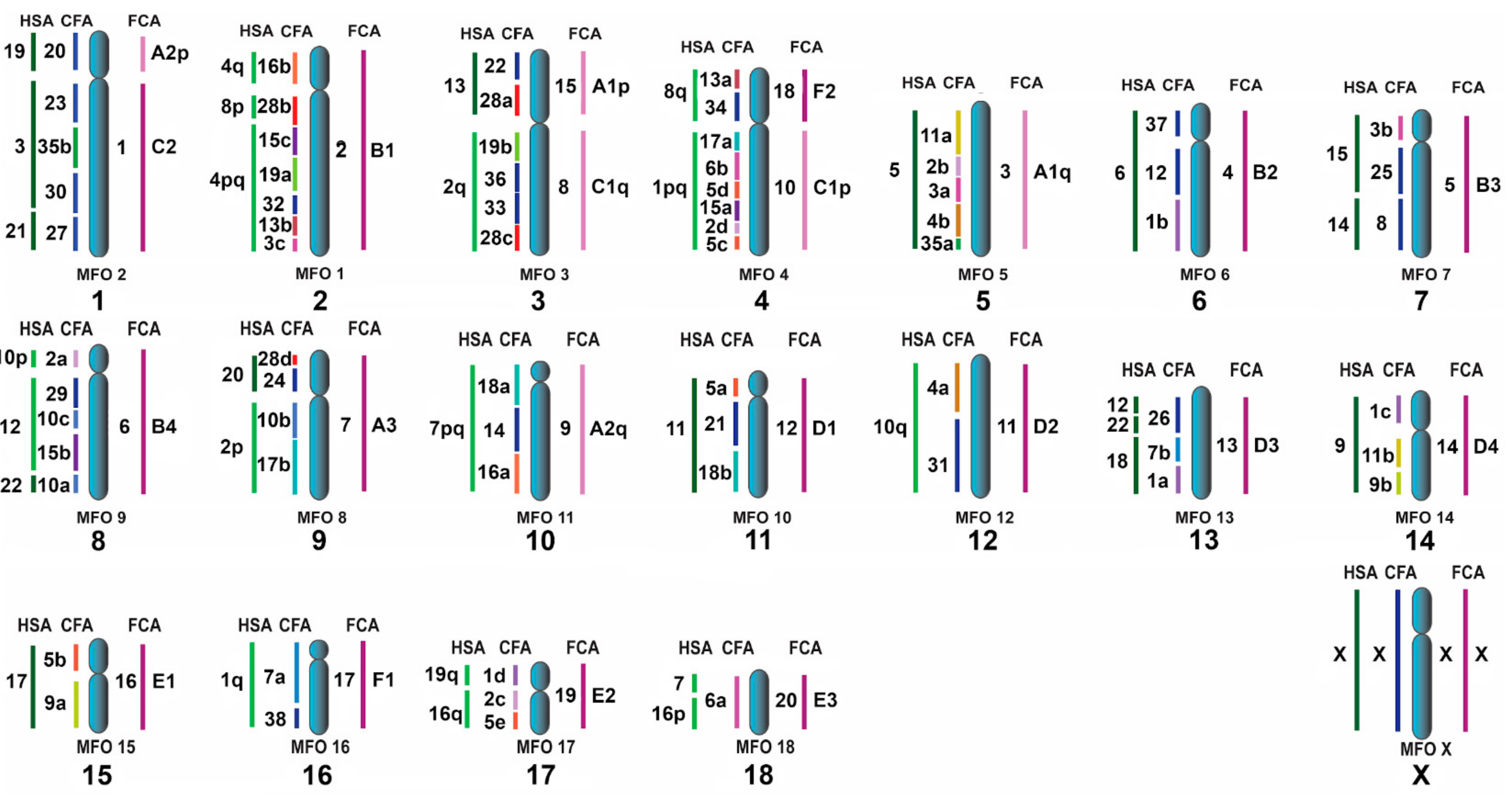 Genes 11 01485 g008 Genes 11 01485 g008